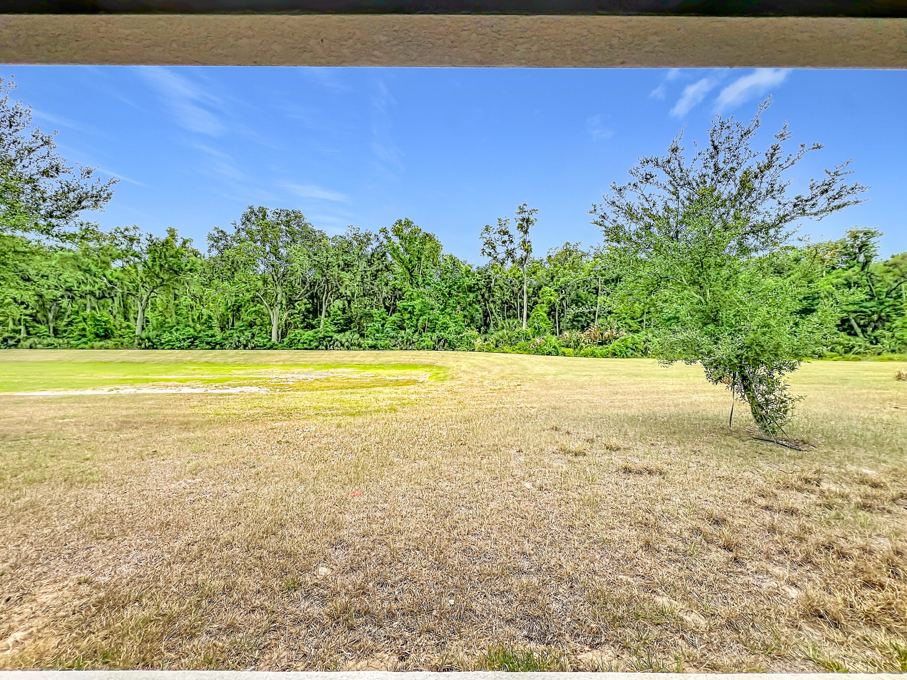 20029 Royal Tern Court, Leesburg, FL 34748 — photo 46 of 60