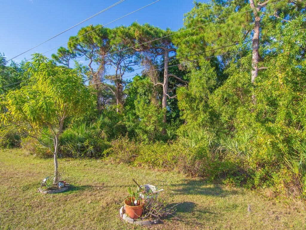 8 Novedades, Port St. Lucie, FL 34952 — photo 38 of 41