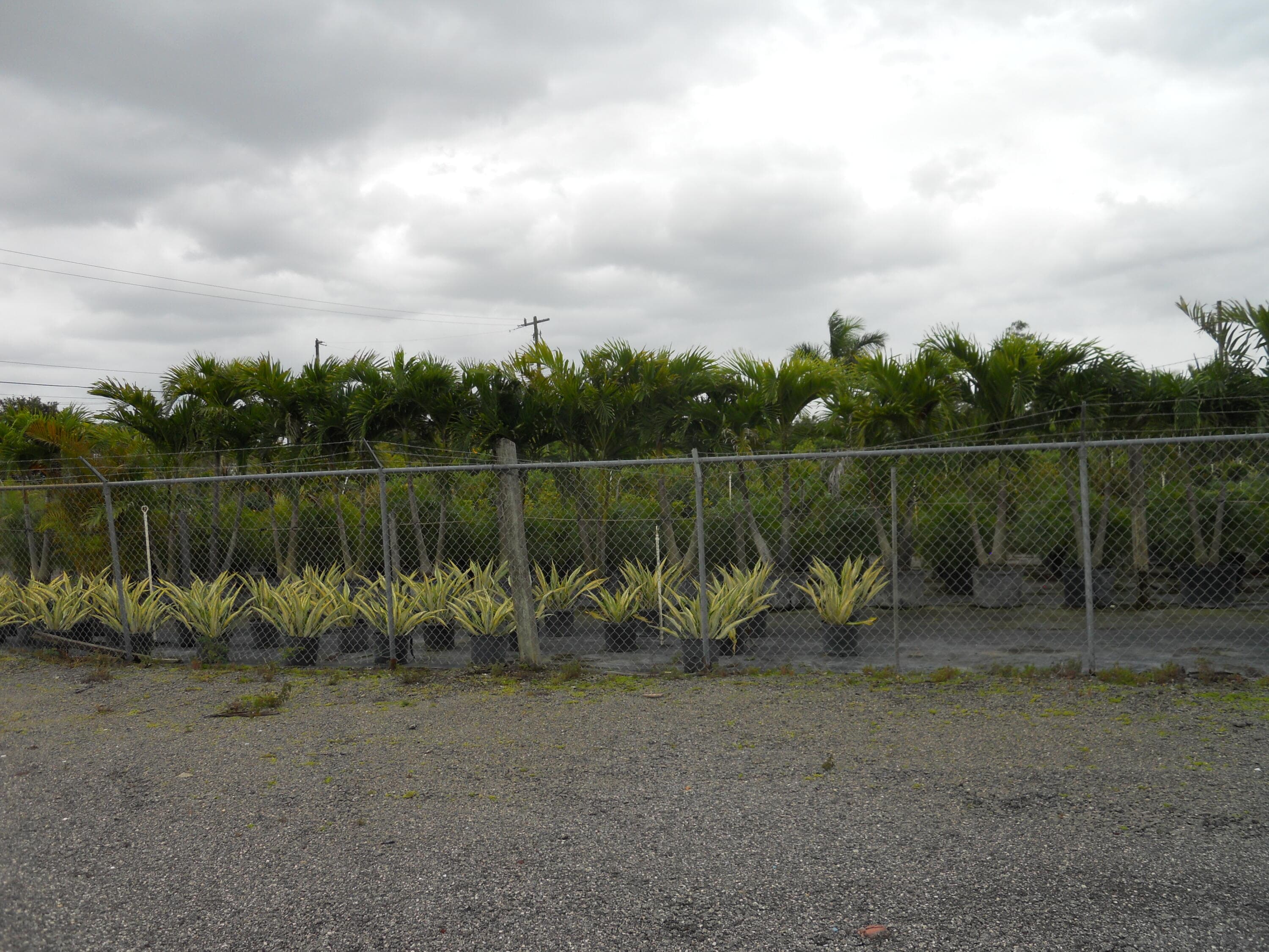 0000 Boynton Beach Blvd, Boynton Beach, FL — photo 6 of 11