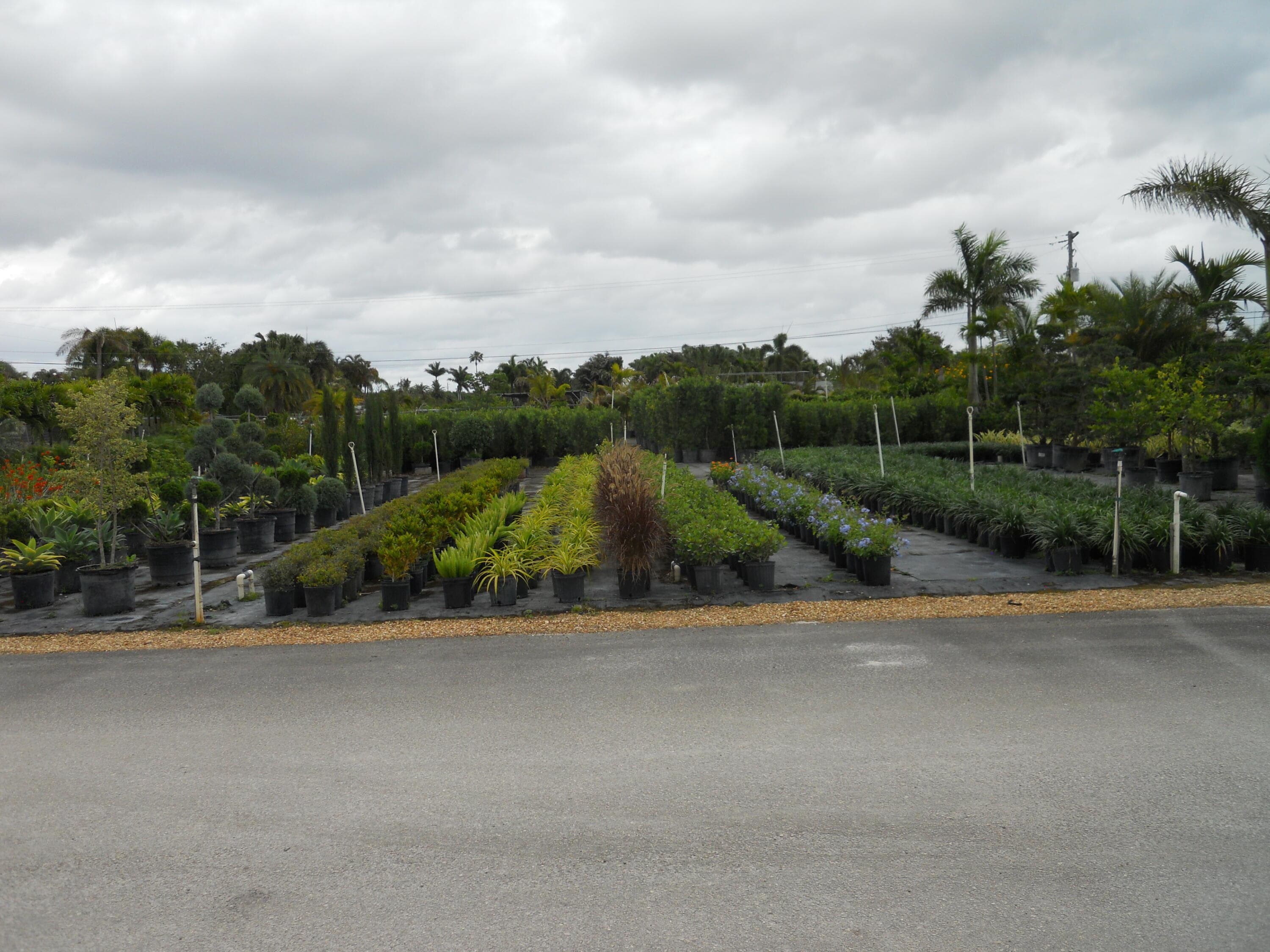 0000 Boynton Beach Blvd, Boynton Beach, FL — photo 9 of 11