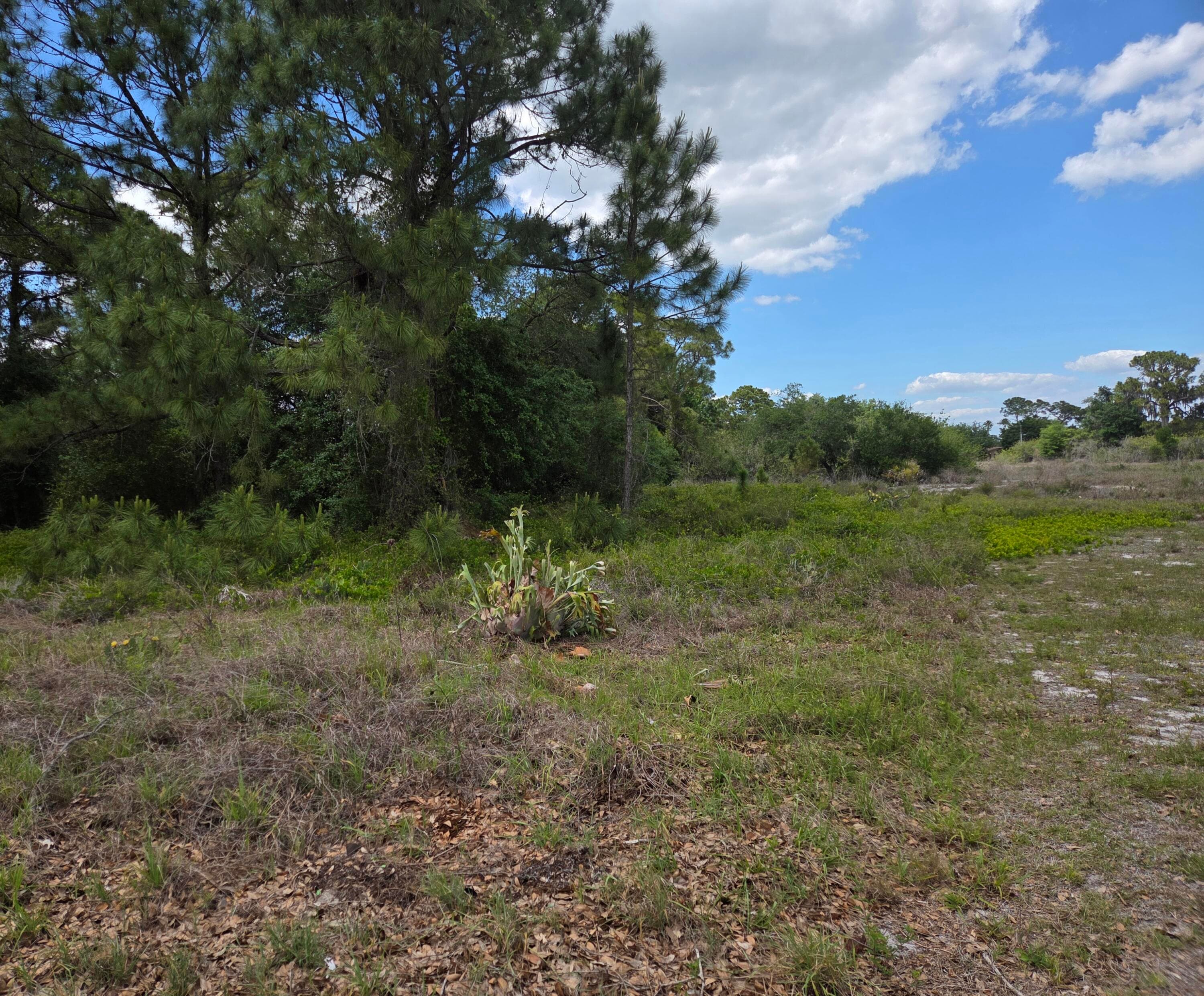 232 Silver Avenue, Lake Placid, FL 33852 — photo 5 of 6