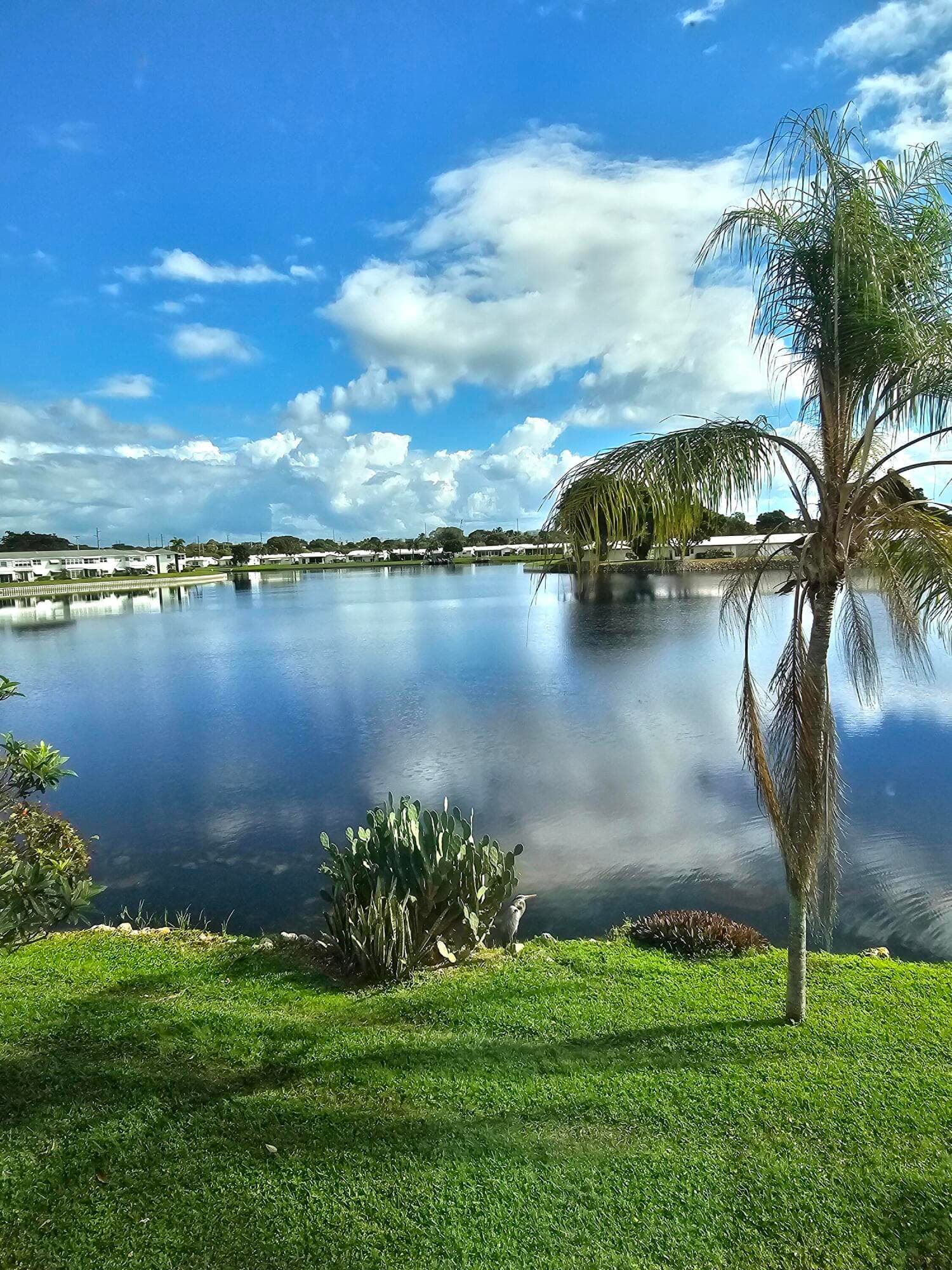 1118 Lake Terrace 217 H, Boynton Beach, FL 33426 — photo 1 of 67