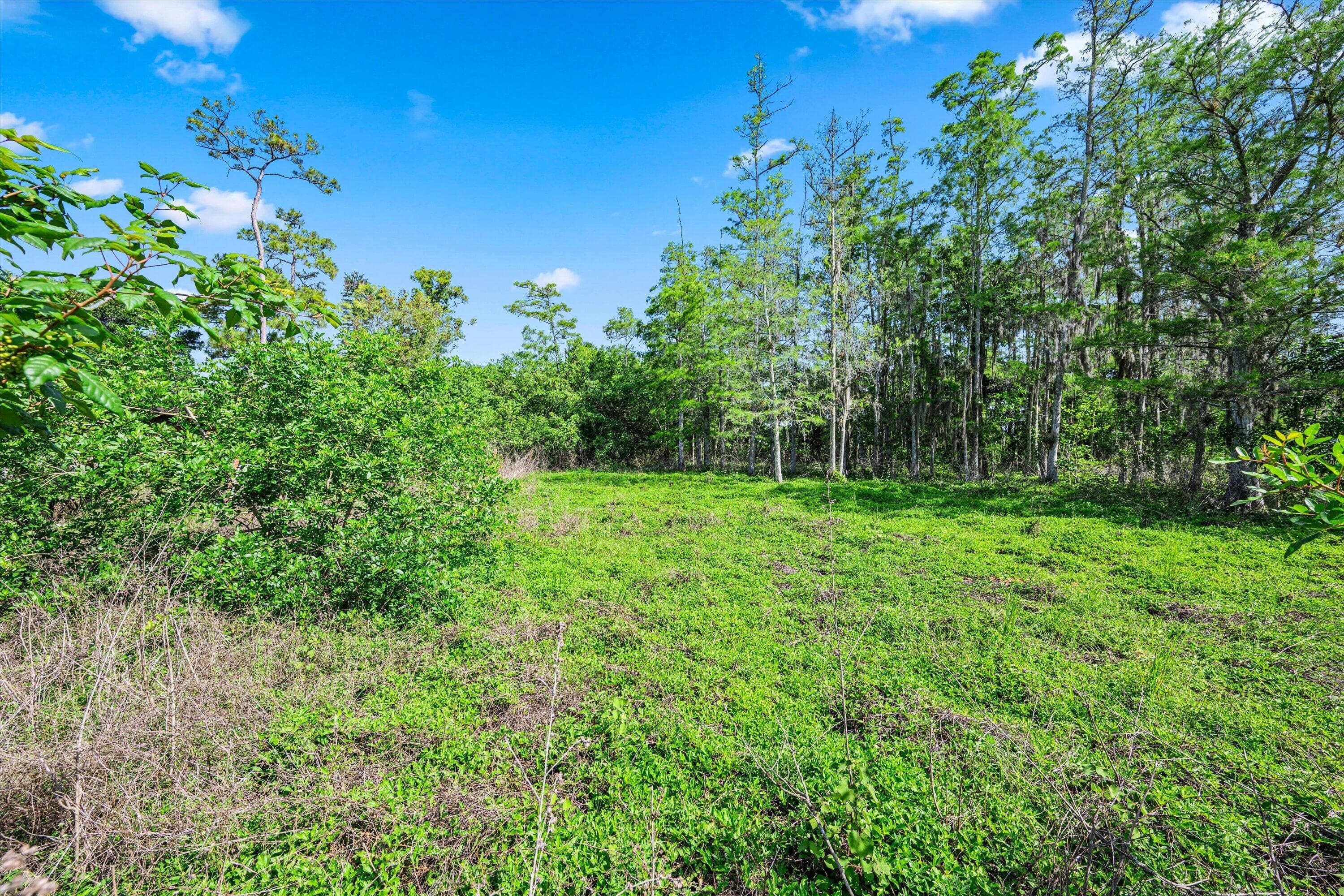 1814 A Road, Loxahatchee Groves, FL 33470 — photo 27 of 38