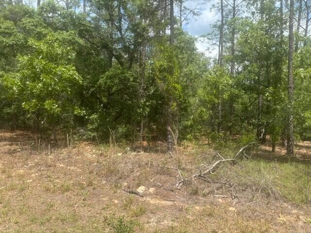 8593 N Bambury Terrace, Citrus Springs, FL 34434 — photo