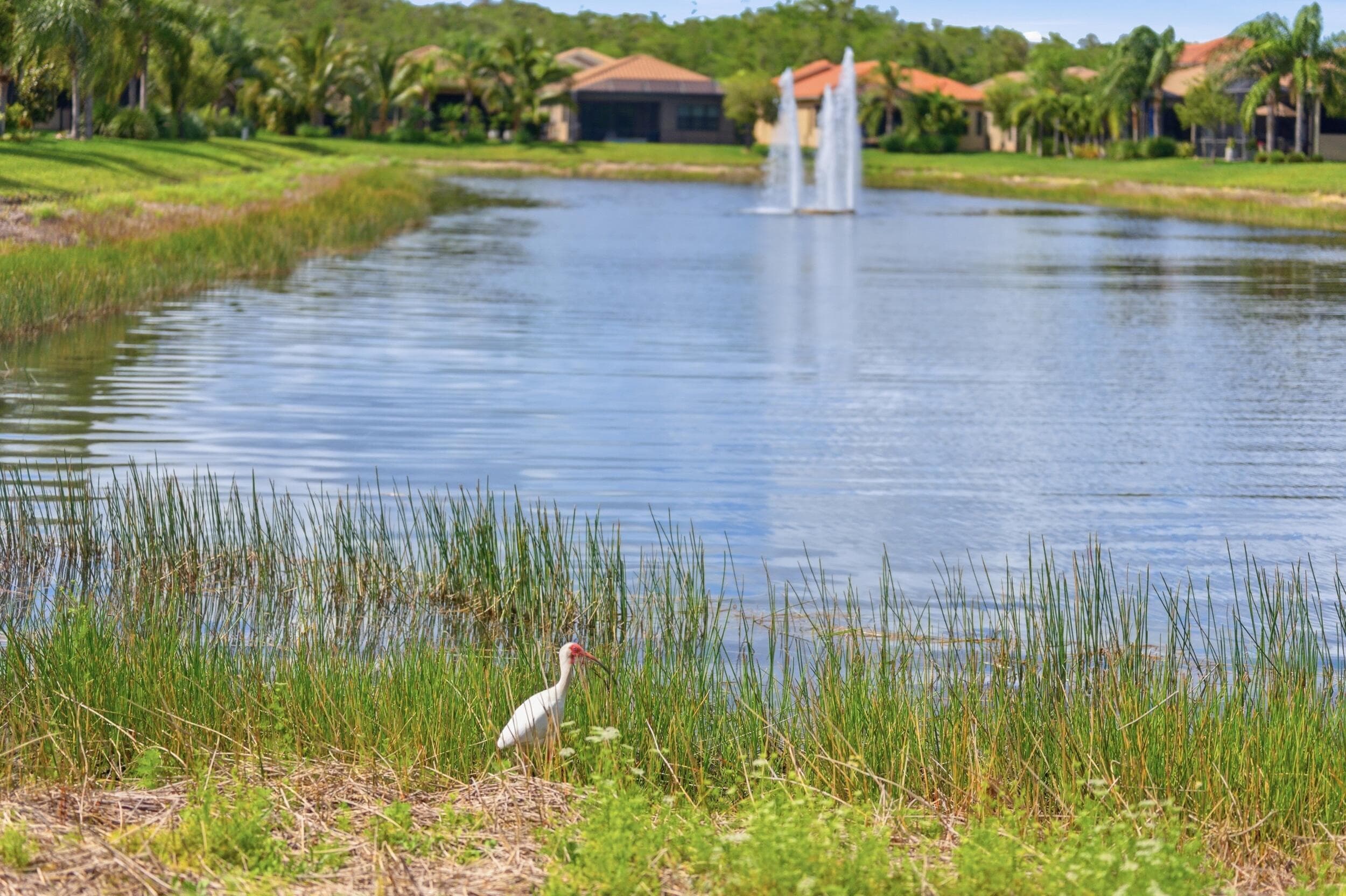 11619 Riverstone Lane, Fort Myers, FL 33913 — photo 79 of 107