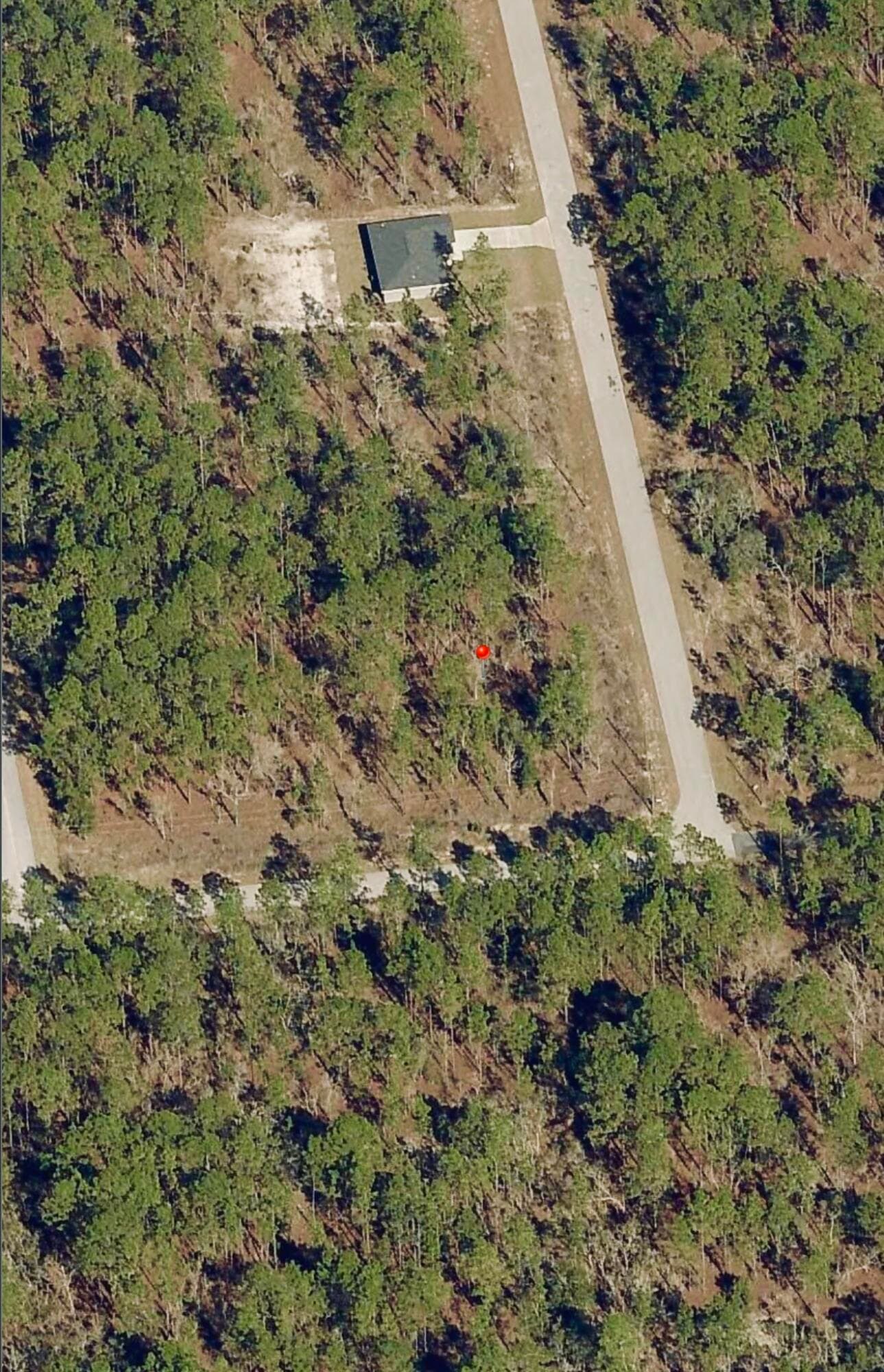 Tbd SW Buena Vista Road, Dunnellon, FL 34431 — photo 3 of 5
