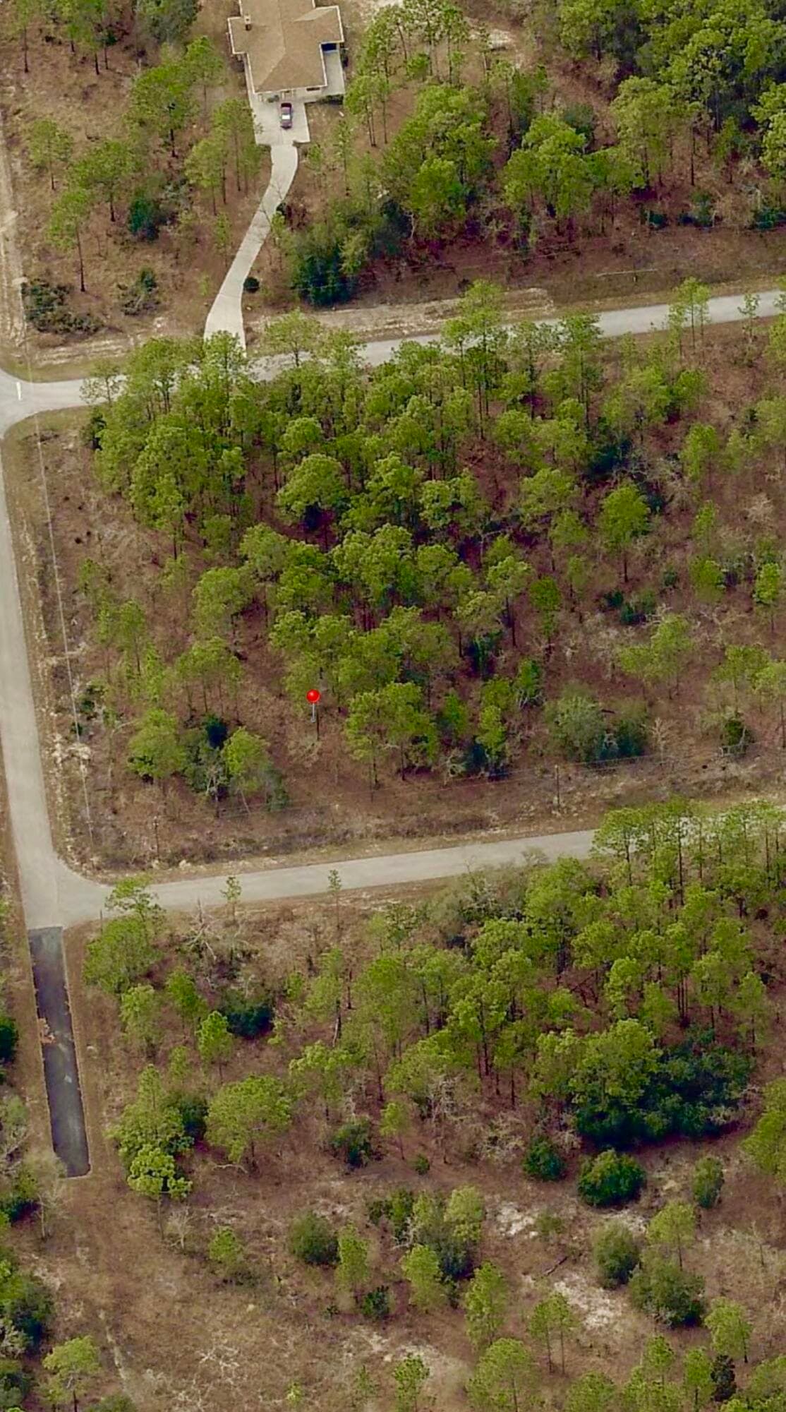 Tbd SW Buena Vista Road, Dunnellon, FL 34431 — photo 5 of 5