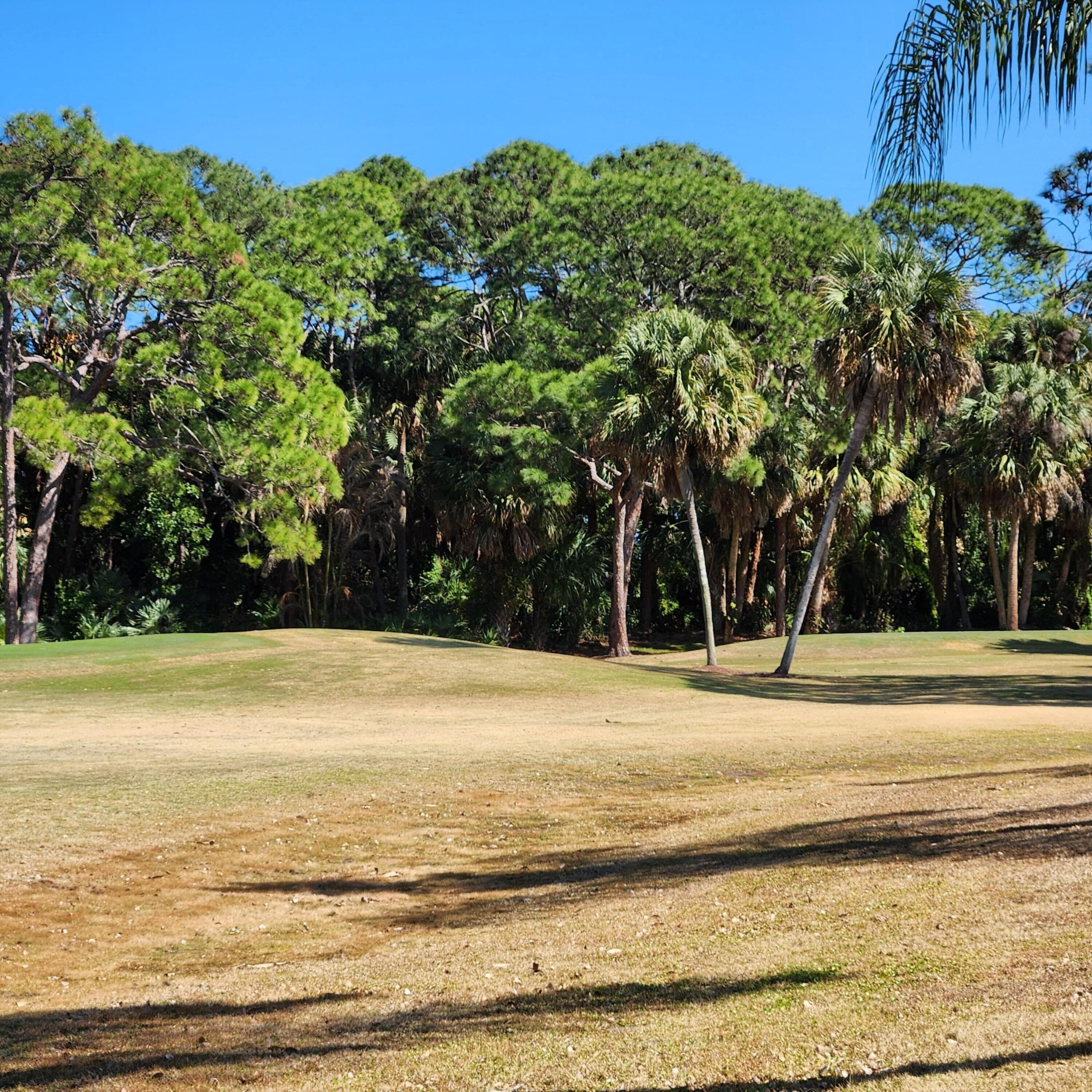 6 Angelita, Port St. Lucie, FL 34952 — photo 80 of 81