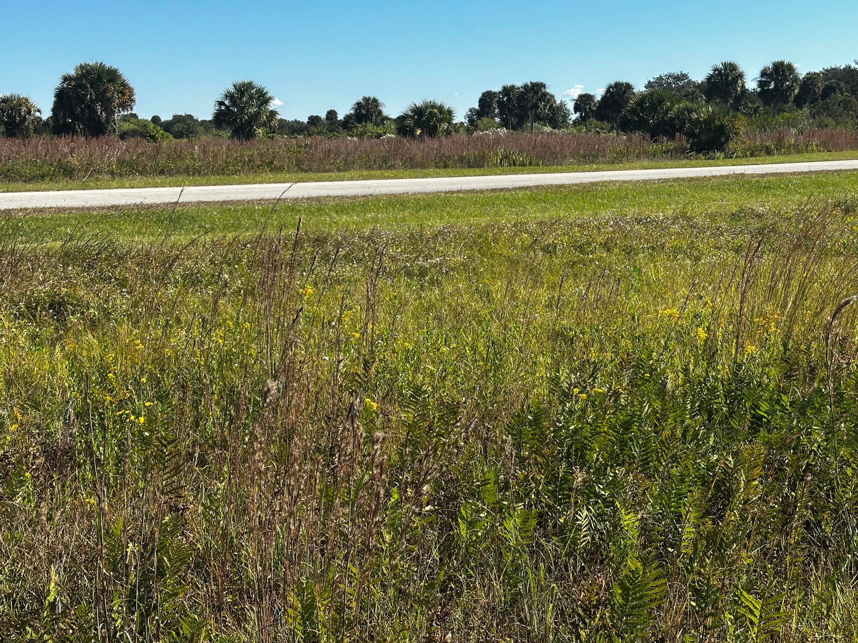 6674 SE 33rd Terrace, Okeechobee, FL 34974 — photo 7 of 7