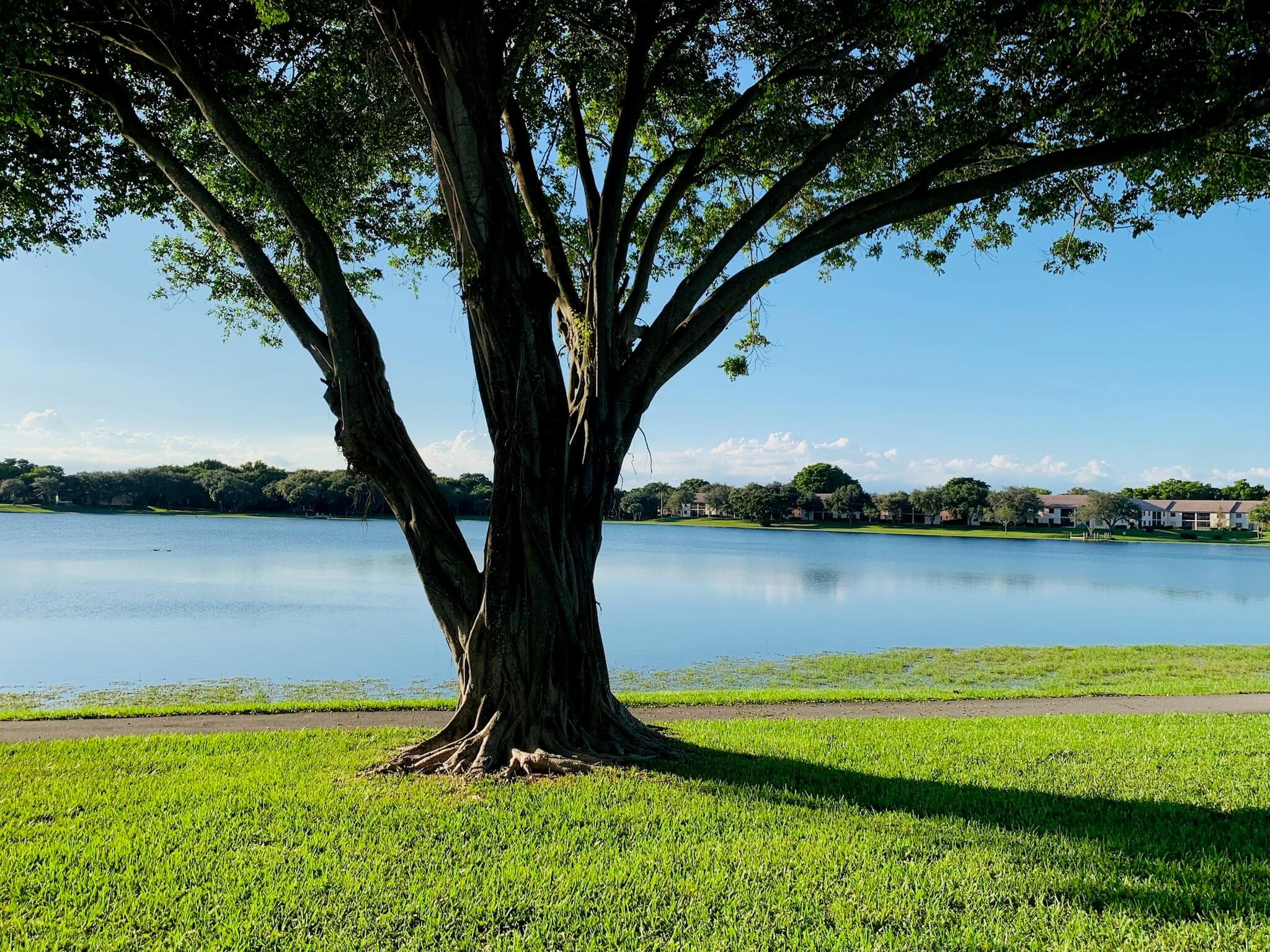 330 Palmwood Place P211, Boca Raton, FL 33431 — photo 16 of 28
