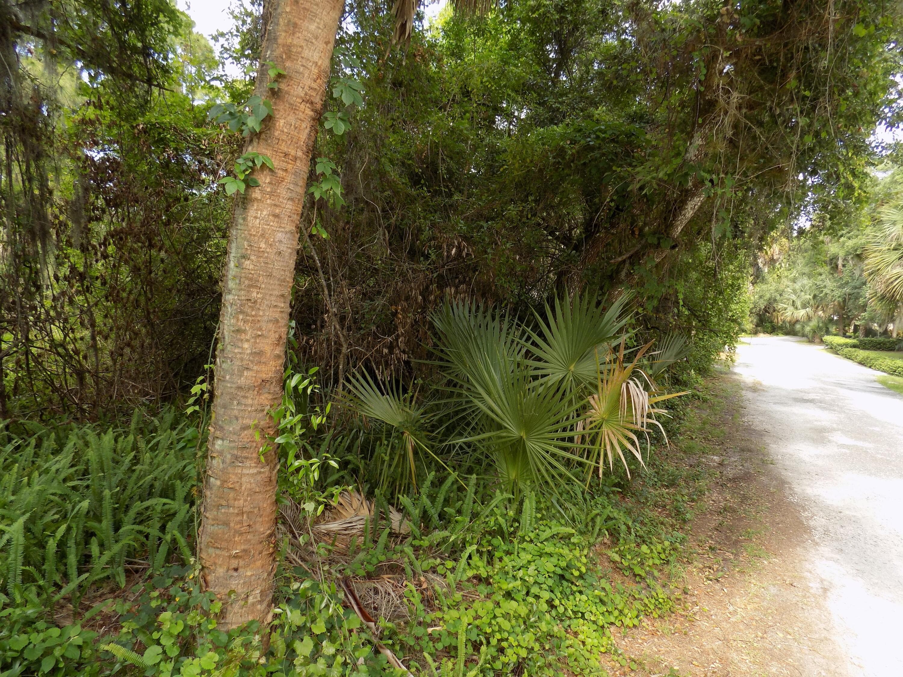 Tbd Oak Hammock Lane, Fort Pierce, FL 34981 — photo 2 of 22