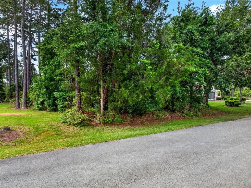 112 Ryberry Drive, Palm Coast, FL 32164 — photo 16 of 17