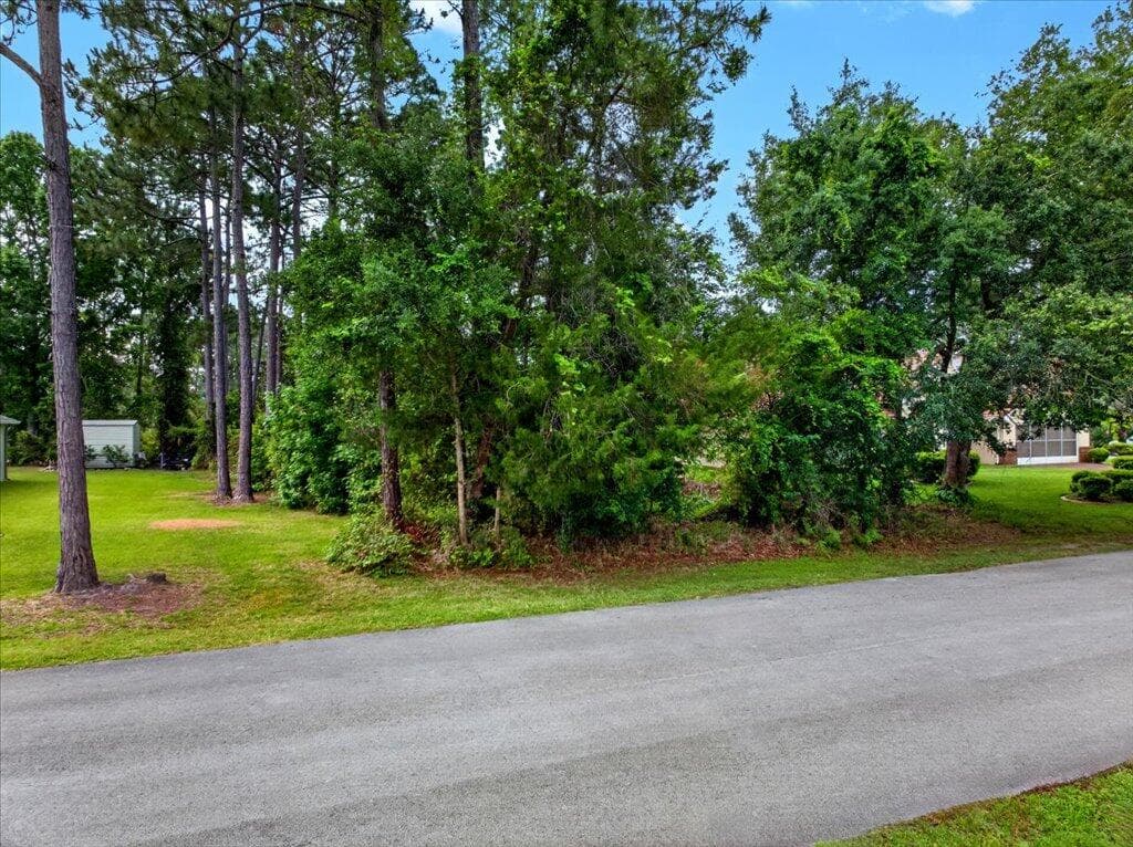112 Ryberry Drive, Palm Coast, FL 32164 — photo 12 of 17