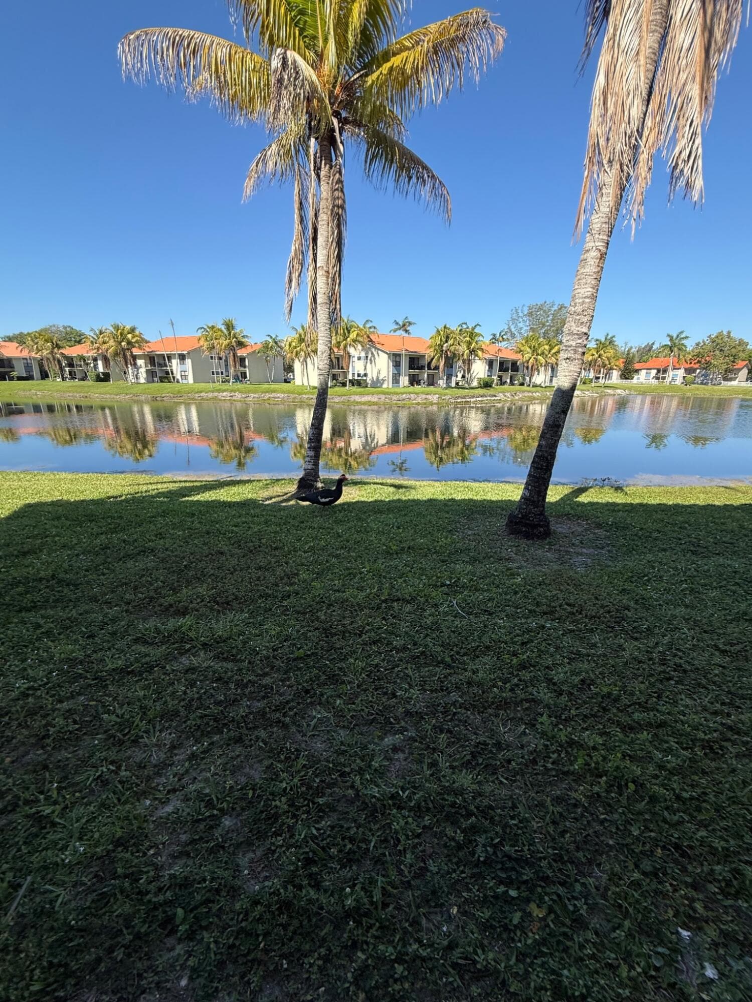 1515 Lake Crystal Drive B, West Palm Beach, FL 33411 — photo 26 of 30