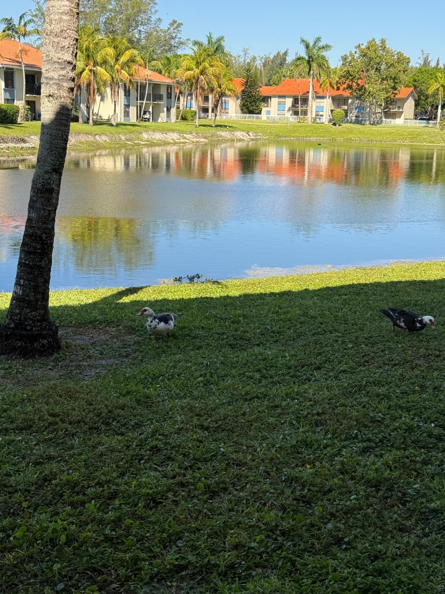 1515 Lake Crystal Drive B, West Palm Beach, FL 33411 — photo 27 of 30