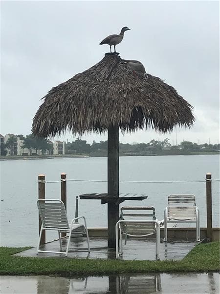 116 Lake Emerald Drive 101, Oakland Park, FL 33309 — photo 58 of 64