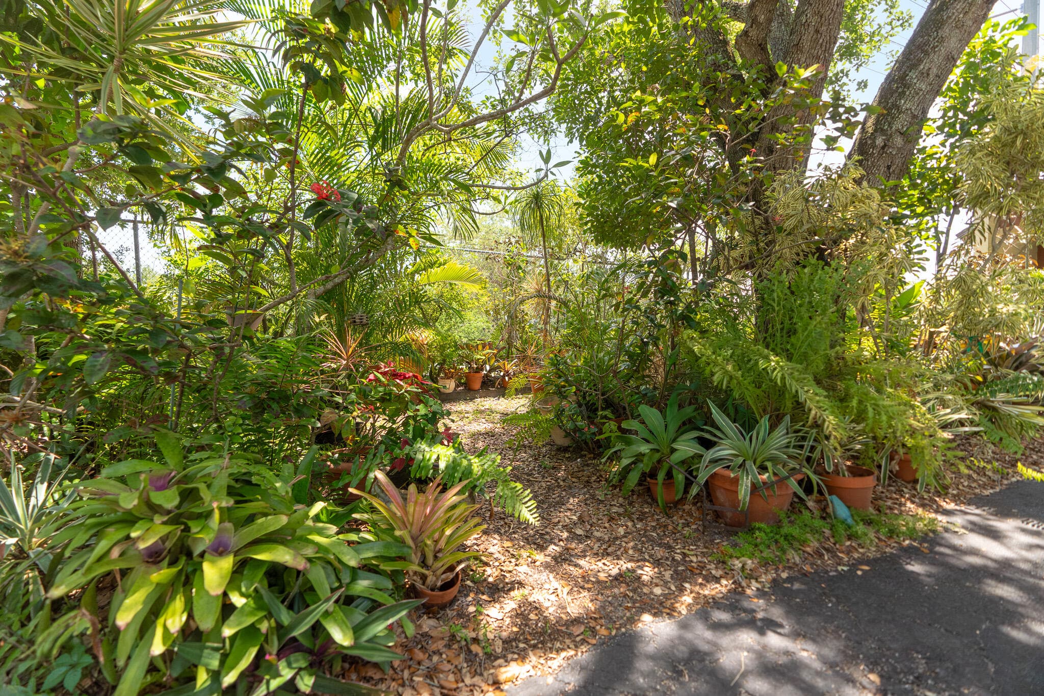 6101 NW 32nd Way, Fort Lauderdale, FL 33309 — photo 5 of 62