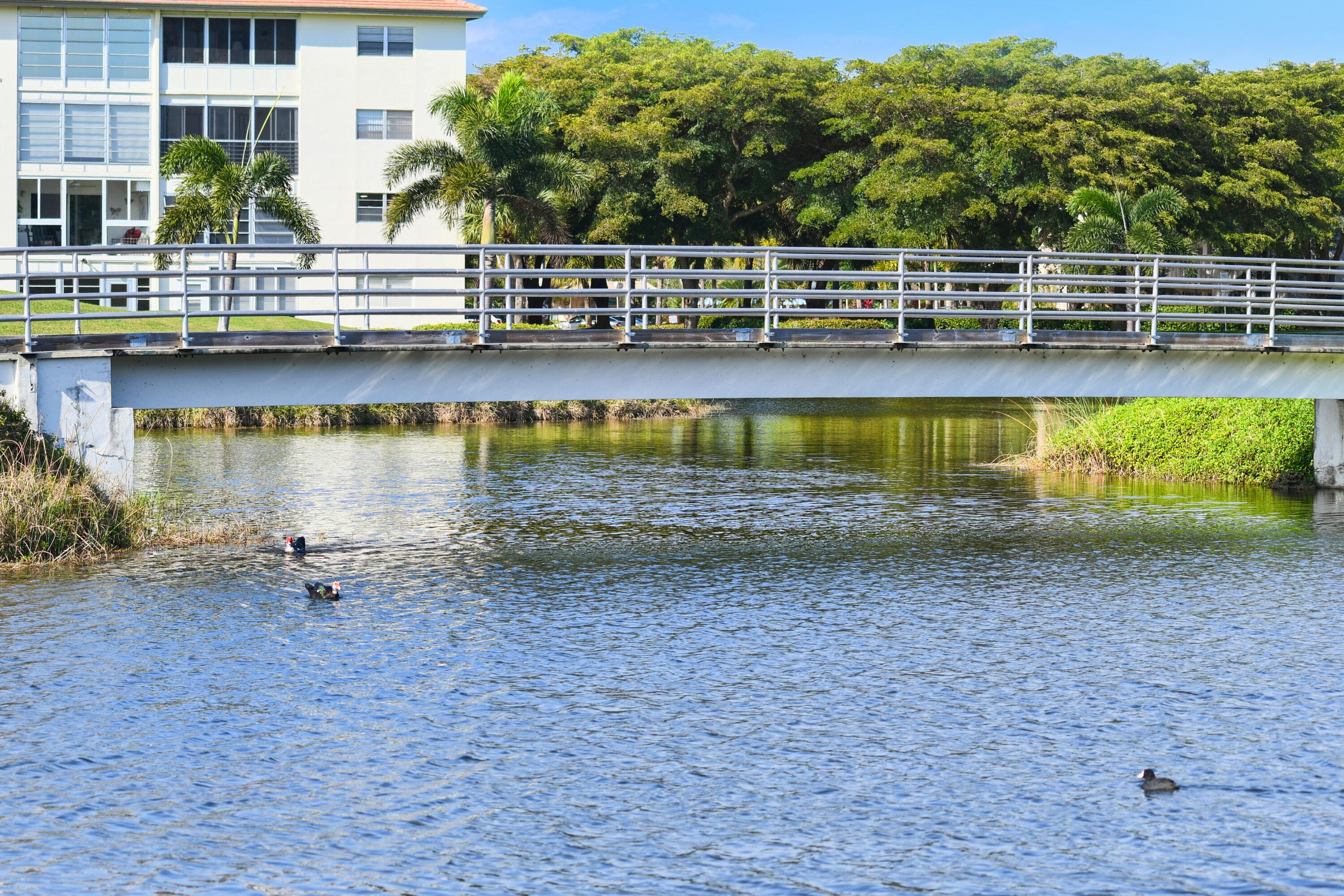 3002 Portofino Isle E3, Coconut Creek, FL 33066 — photo 50 of 59