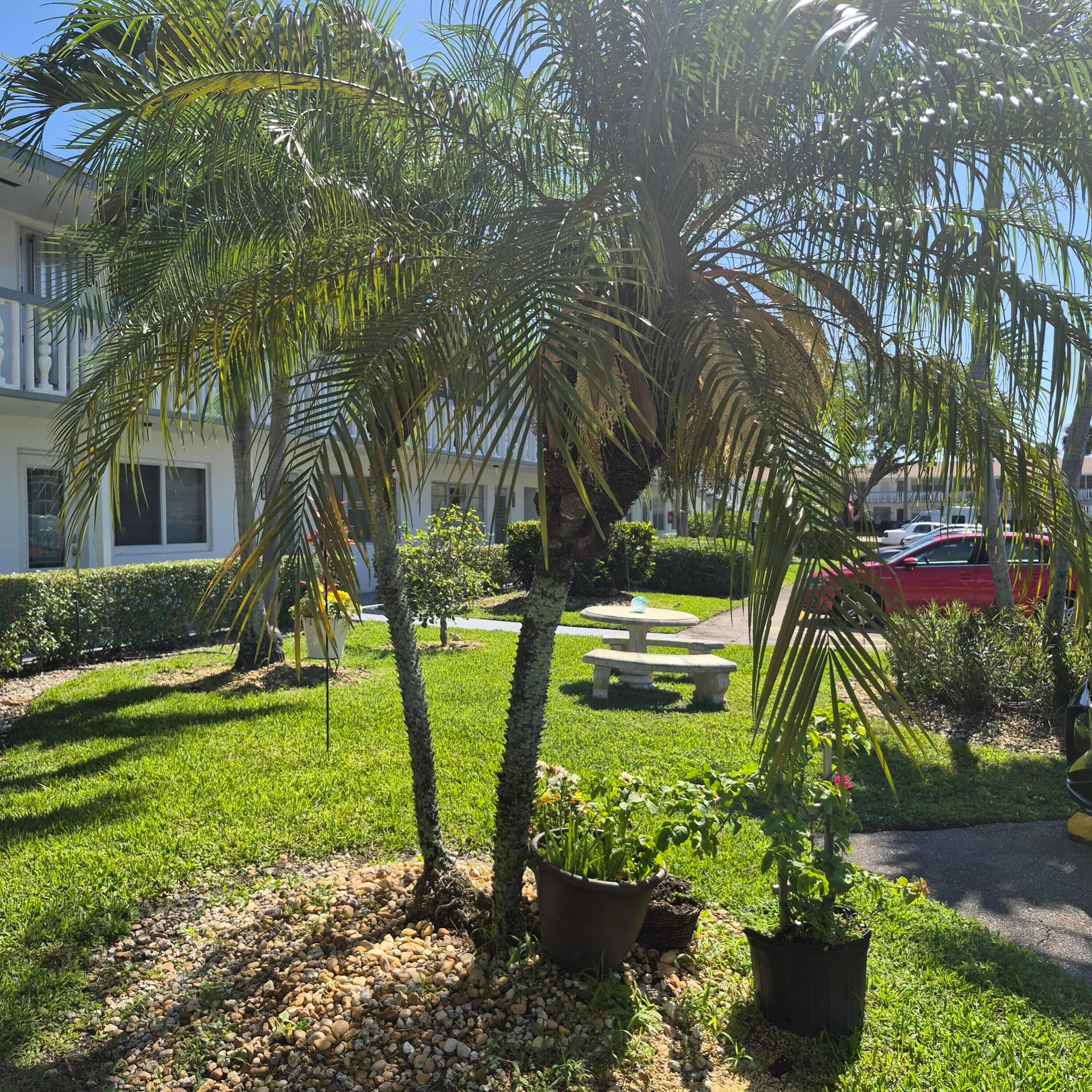 101 Northampton F, West Palm Beach, FL 33417 — photo 27 of 27