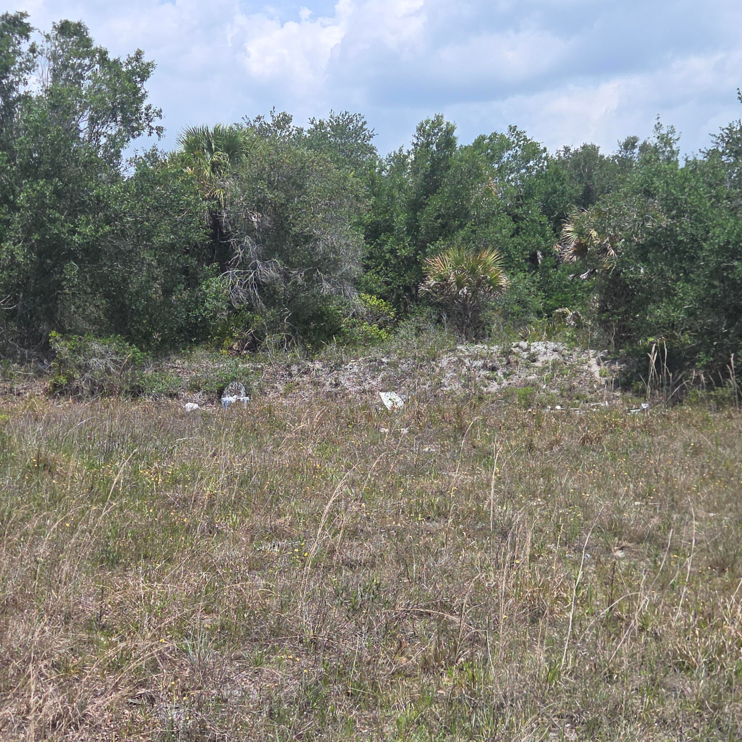 15777 NW 306th Street, Okeechobee, FL 34972 — photo 4 of 5