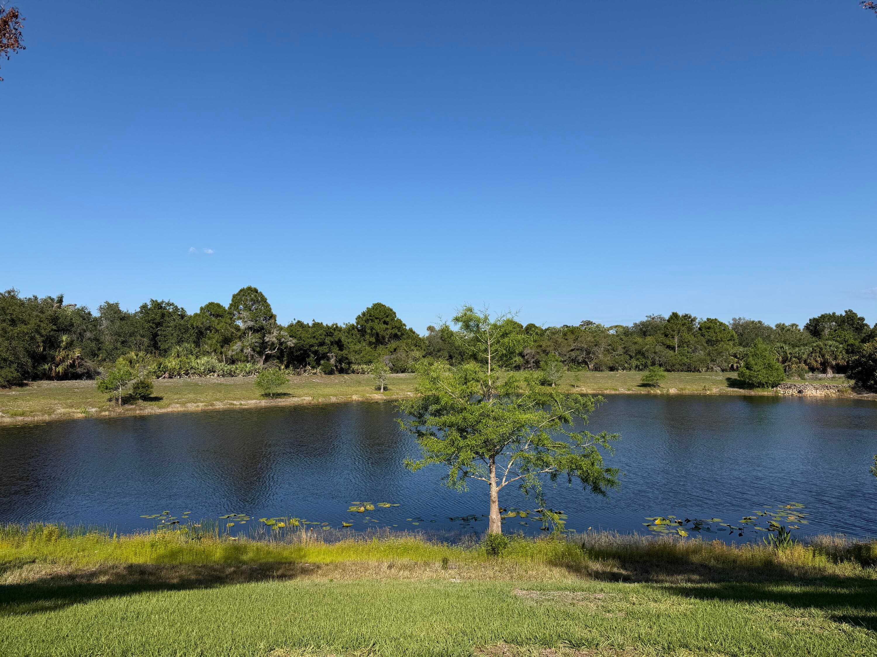 5887 SW Longspur Lane, Palm City, FL 34990 — photo 3 of 43