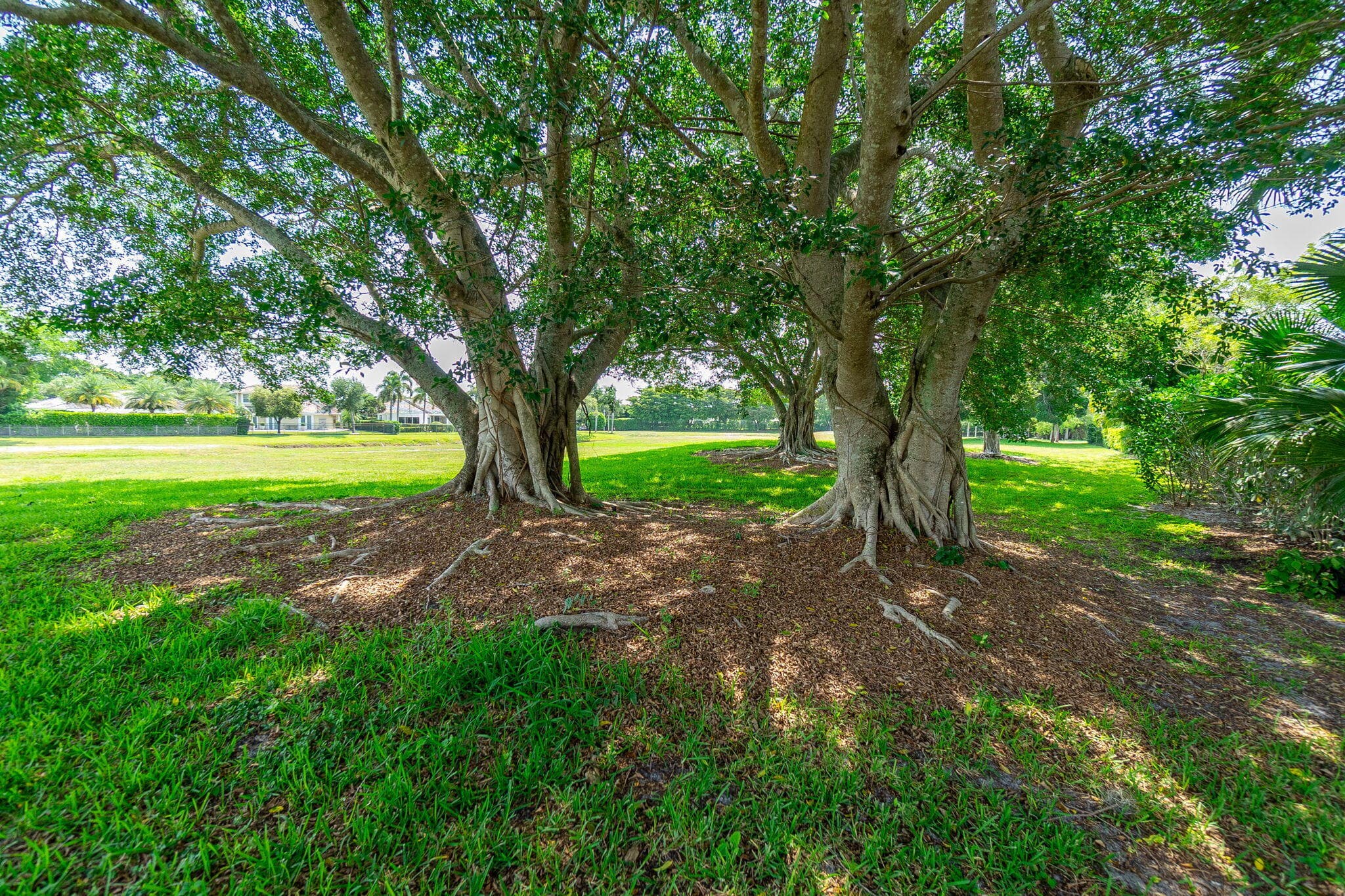 2658 Players Court, Wellington, FL 33414 — photo 68 of 84