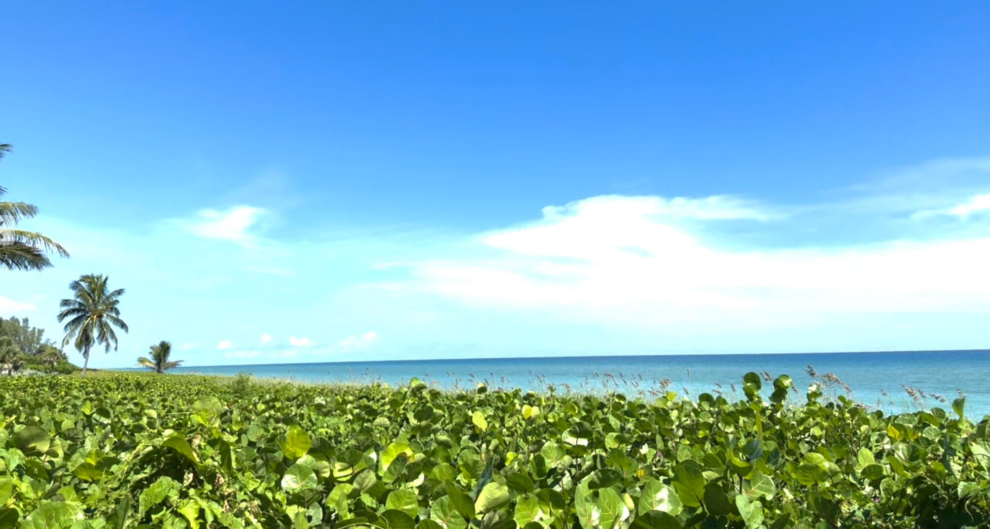50 Celestial Way 305, Juno Beach, FL 33408 — photo 20 of 22