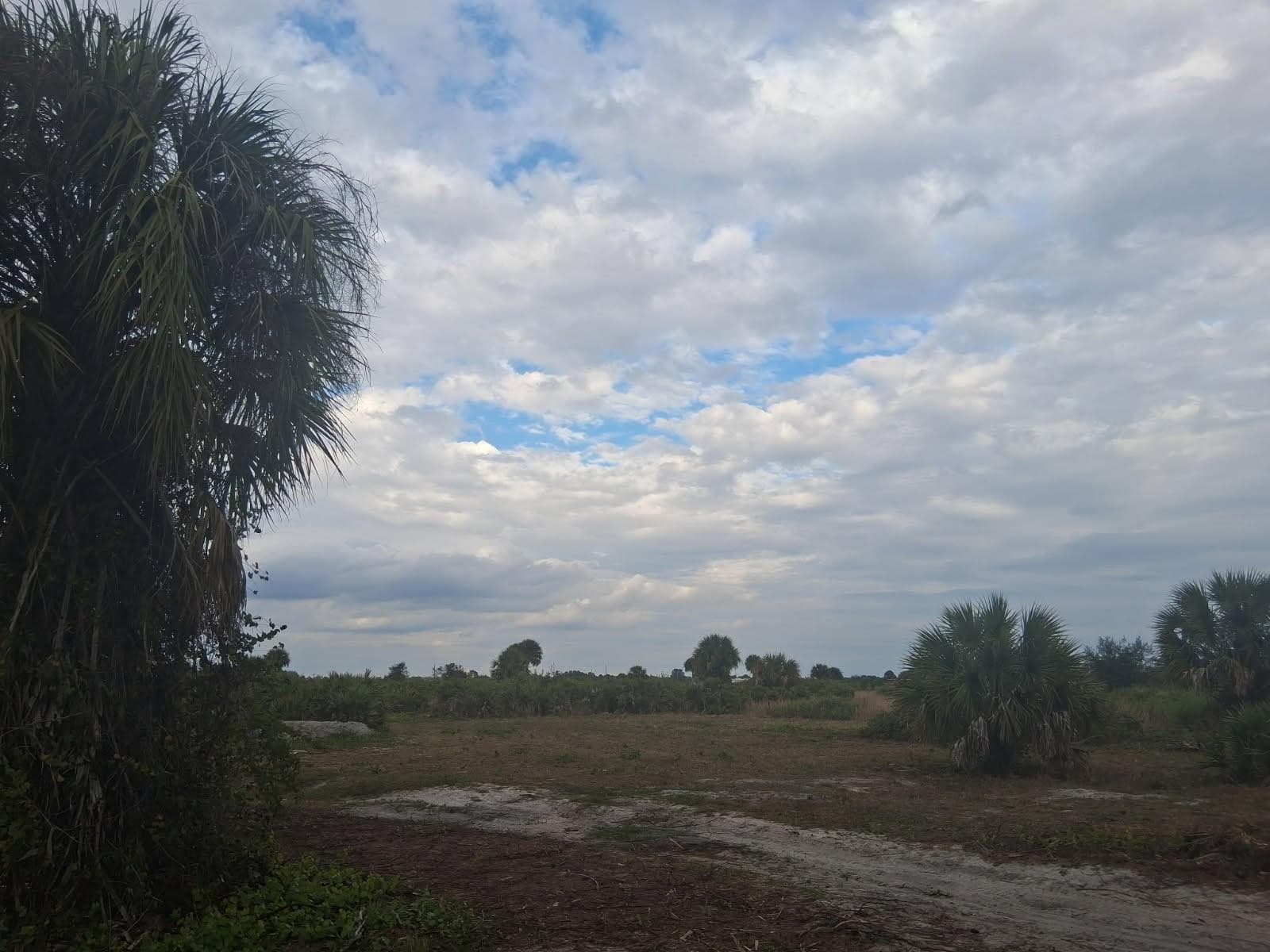 21583 NW 274th Street, Okeechobee, FL 34972 — photo 2 of 3