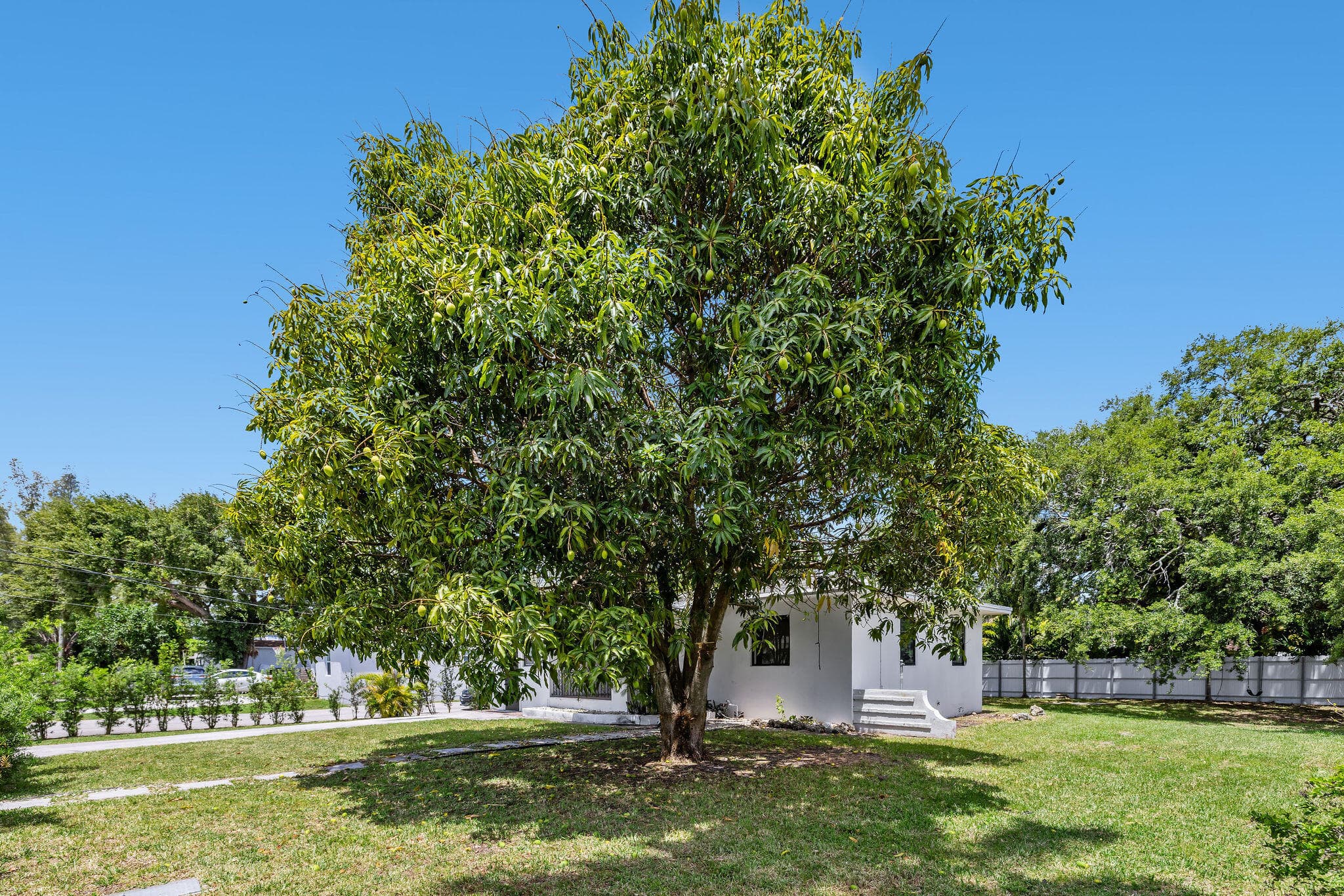 515 NW 88th Street 1, El Portal, FL 33150 — photo 22 of 24