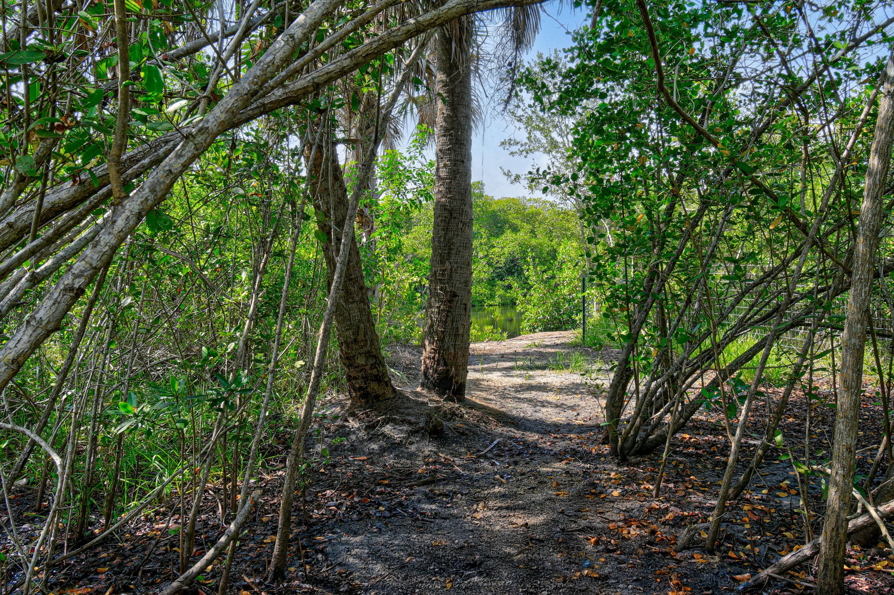 10561 SE Le Parc, Jupiter, FL 33458 — photo 27 of 90