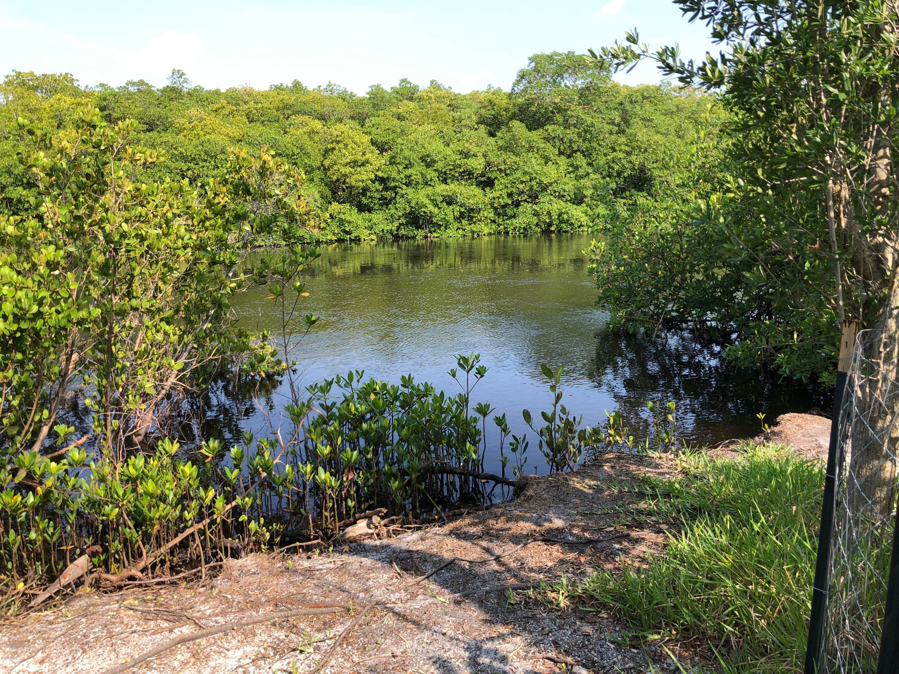 10561 SE Le Parc, Jupiter, FL 33458 — photo 28 of 90