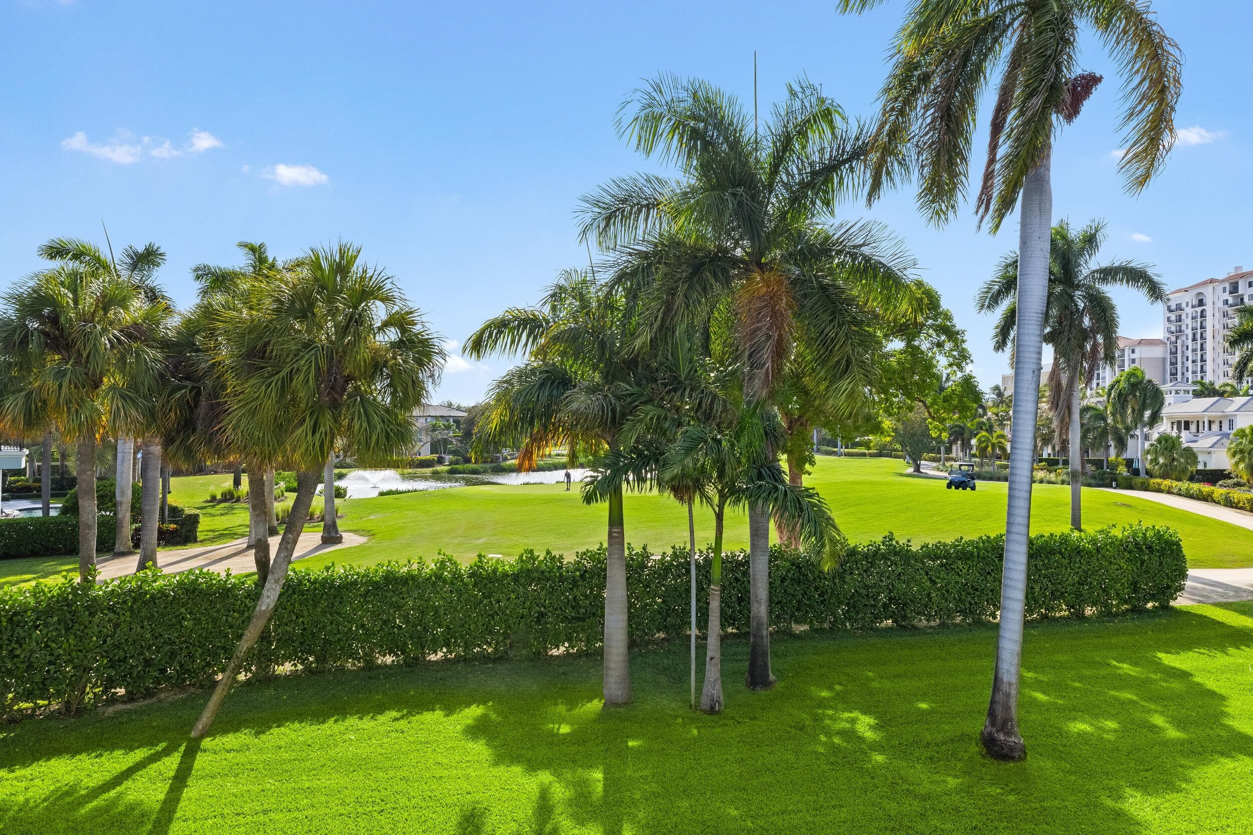 217 Thatch Palm Drive, Boca Raton, FL 33432 — photo 61 of 78
