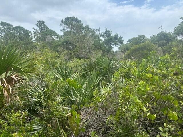 0 Turnpike Feeder Road, Fort Pierce, FL 34945 — photo 3 of 4