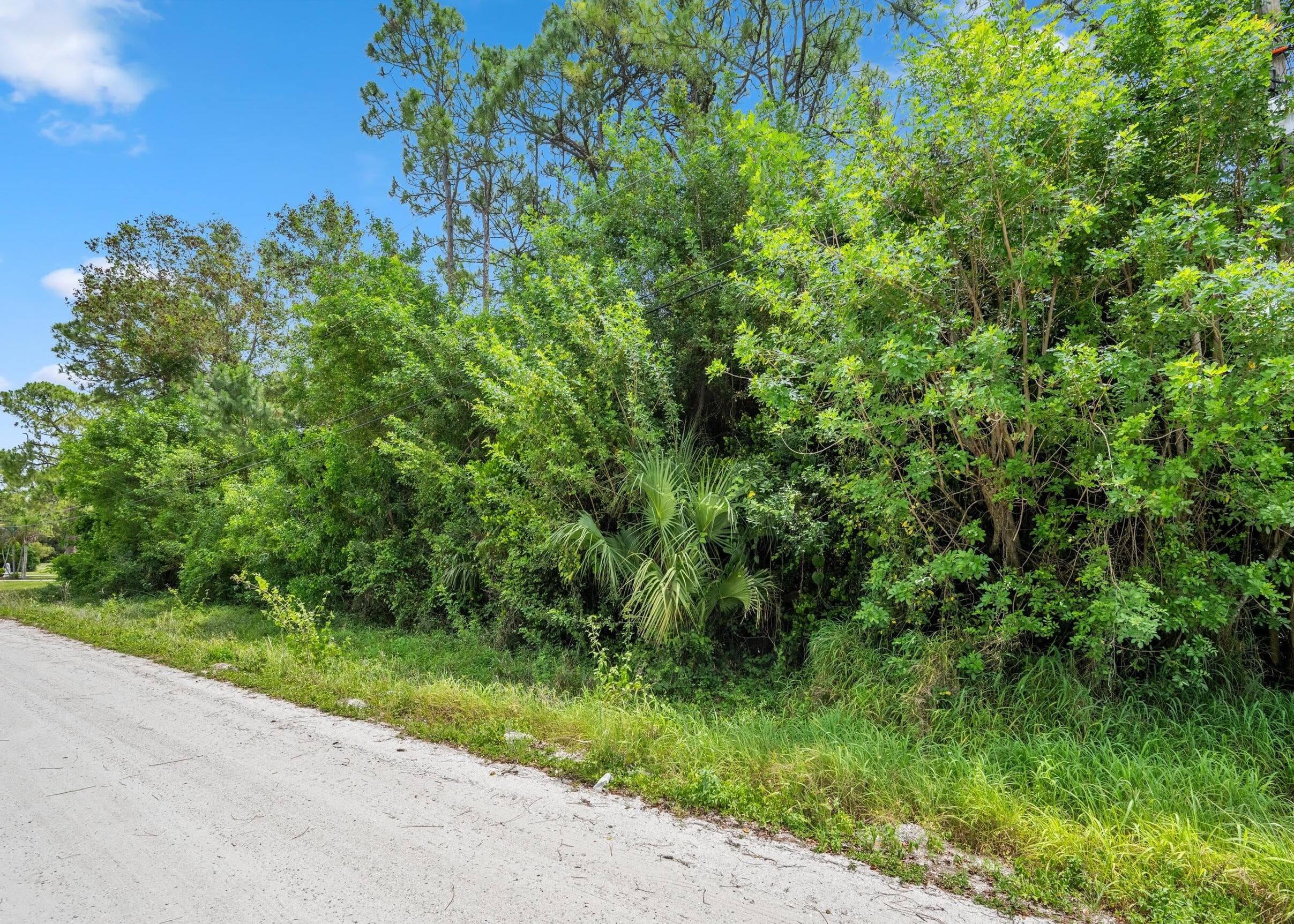 Tbd 122nd Drive N, The Acreage, FL 33411 — photo 6 of 8