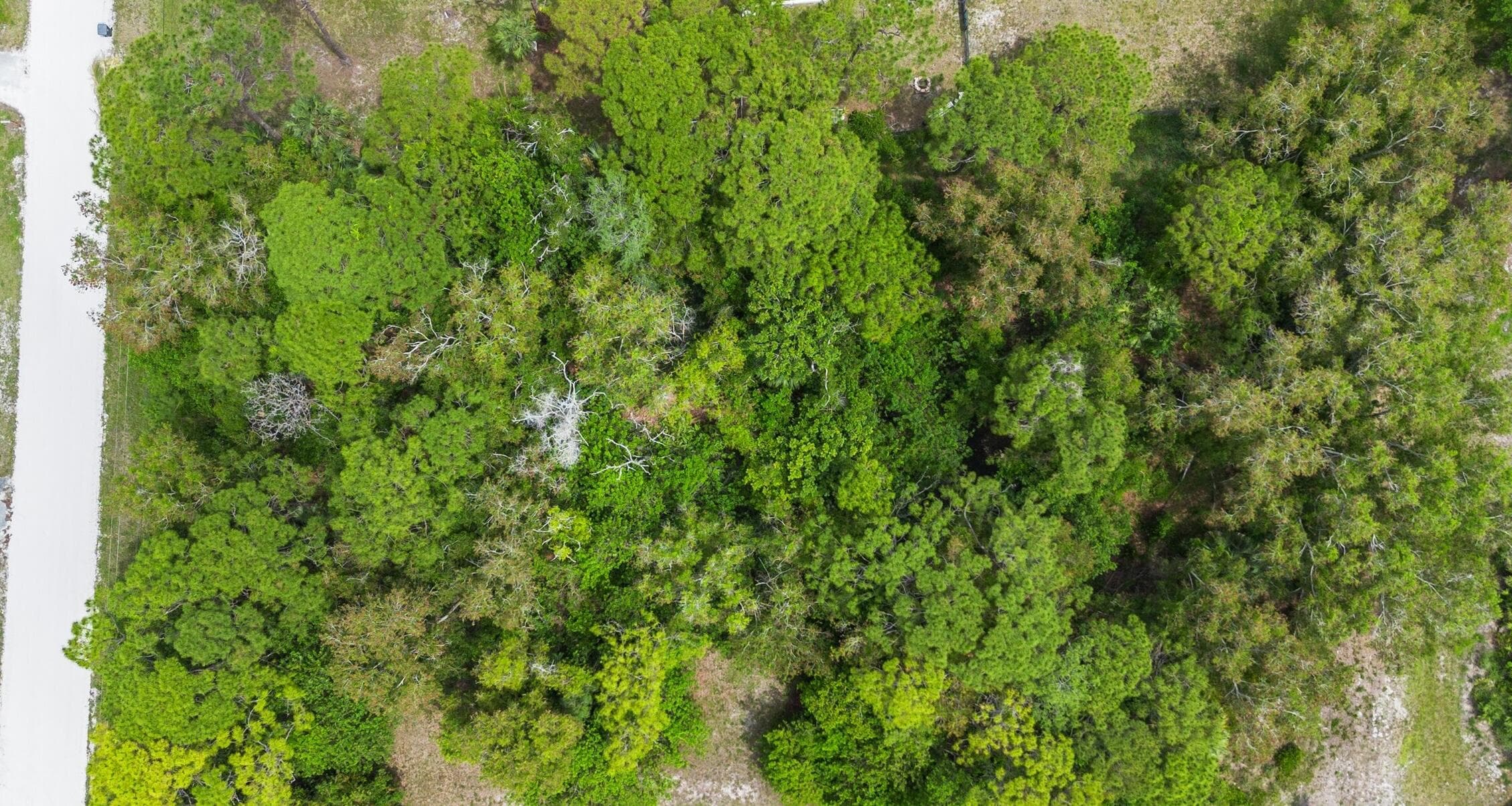 Tbd 122nd Drive N, The Acreage, FL 33411 — photo 5 of 8