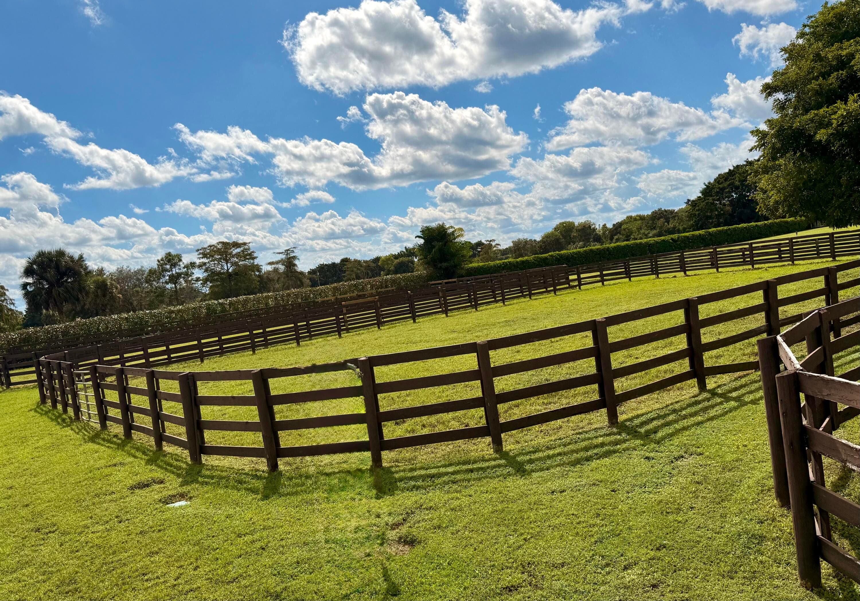 13060 52nd Place S, Wellington, FL 33449 — photo 11 of 25
