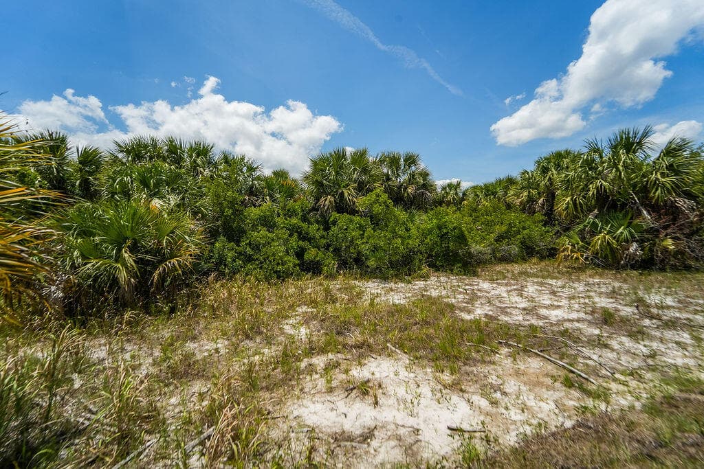 2392 SW Madden Ave Avenue, Palm Bay, FL 32908 — photo 53 of 53