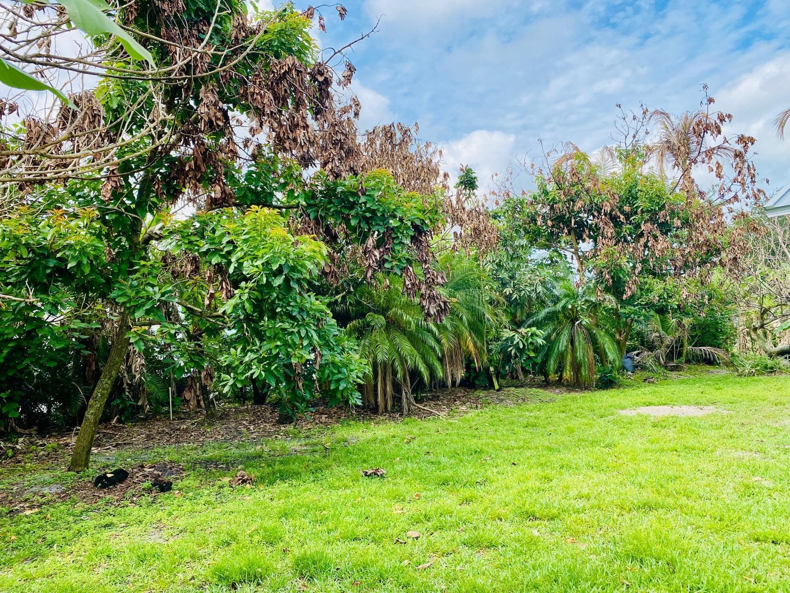 5952 NW Baynard Drive, Port St. Lucie, FL 34986 — photo 27 of 28