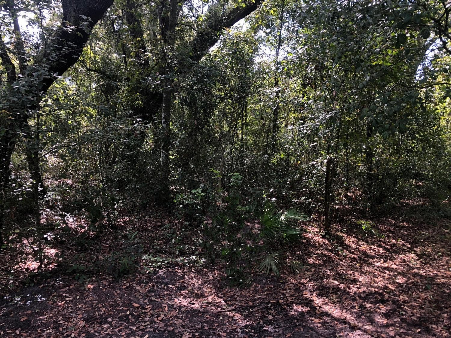 0 Co Rd 54, Kathleen, FL 33849 — photo