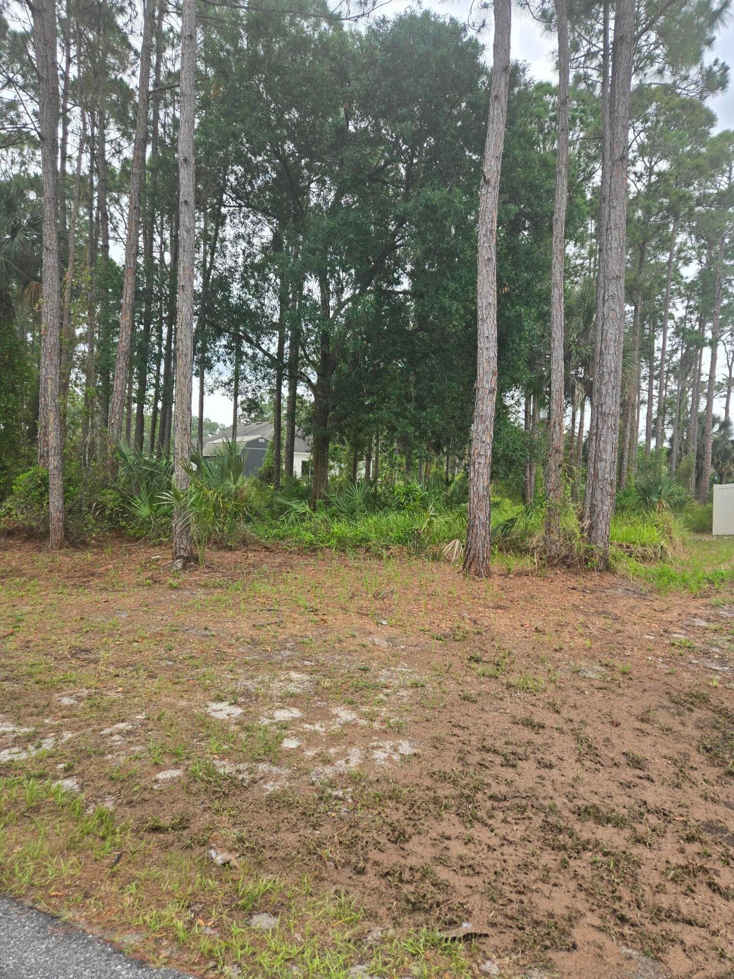 1836 Pindo Court NW, Palm Bay, FL 32909 — photo 3 of 9
