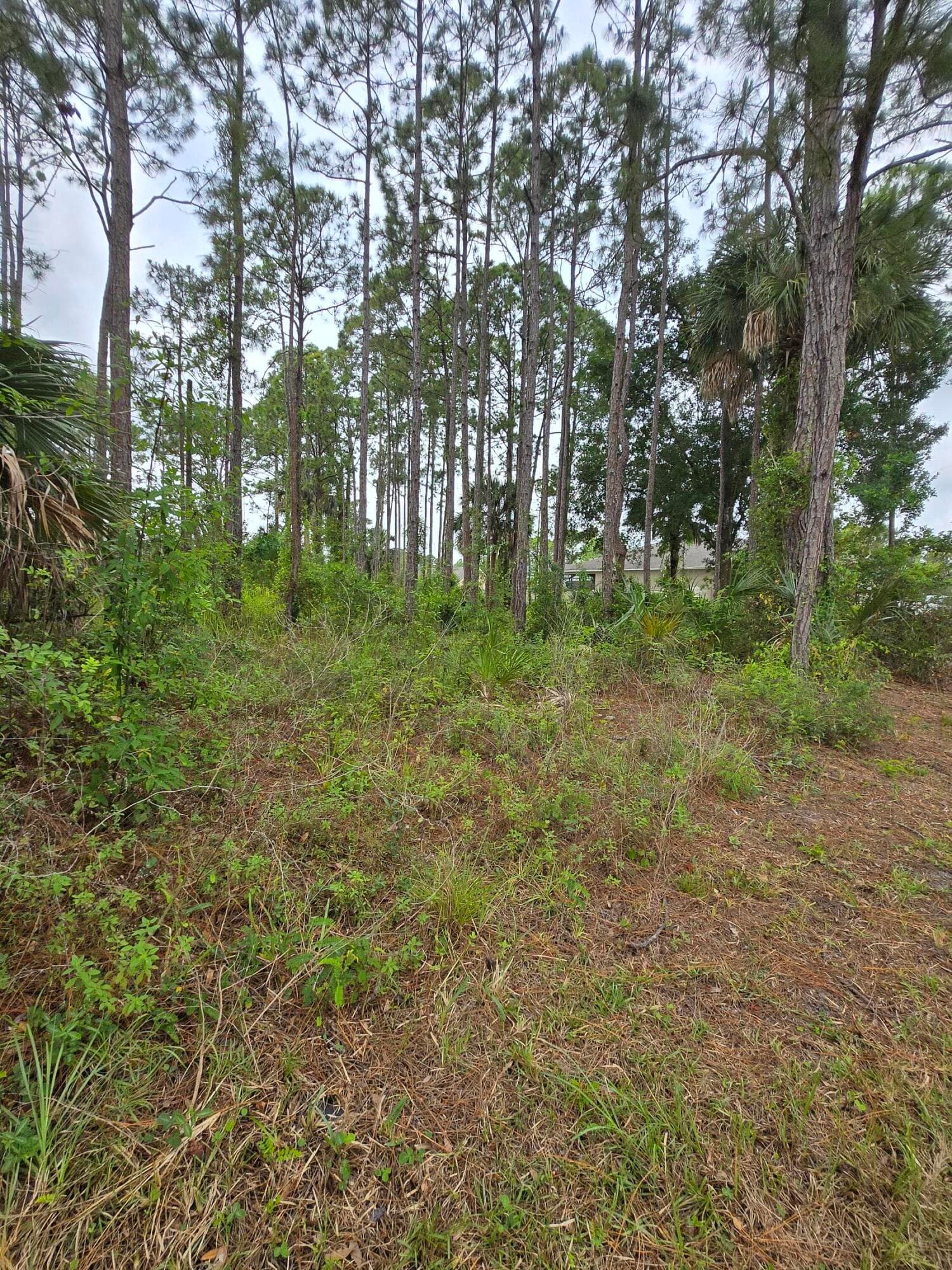1836 Pindo Court NW, Palm Bay, FL 32909 — photo 9 of 9