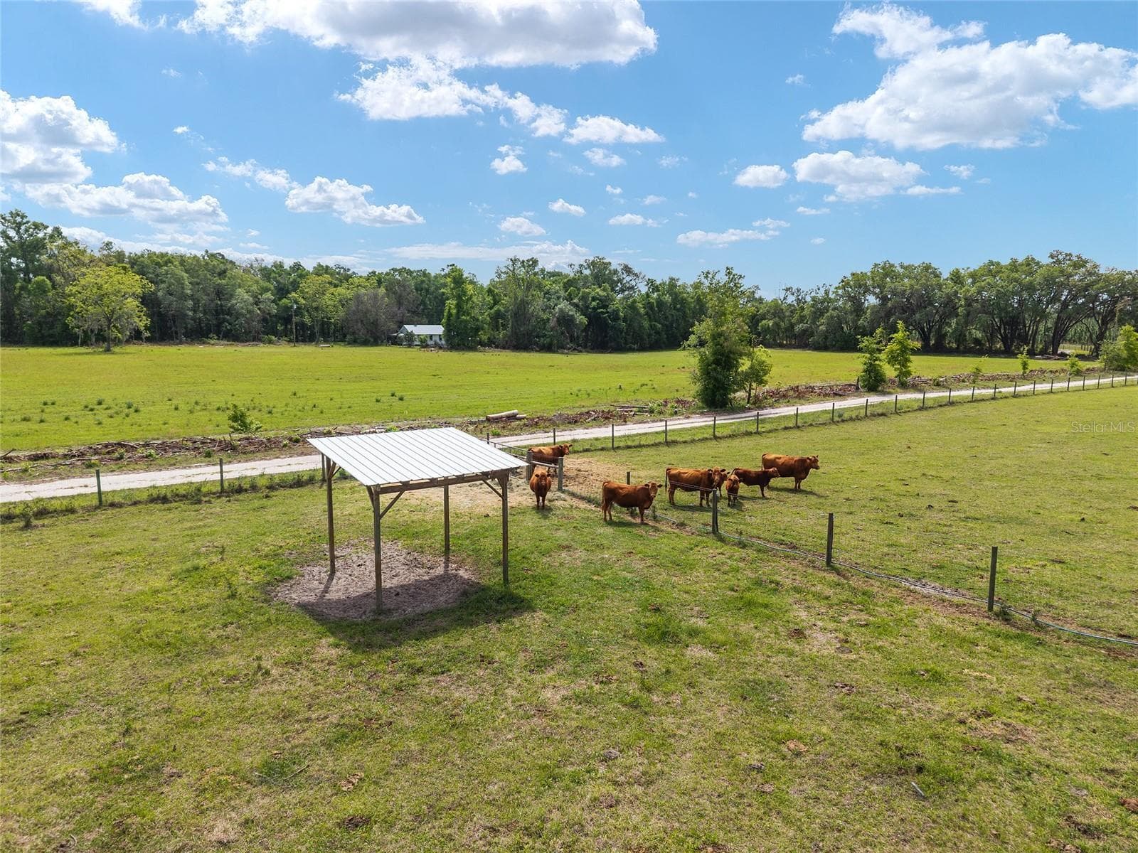 3725 172nd Street, Wellborn, FL 32094 — photo 18 of 97