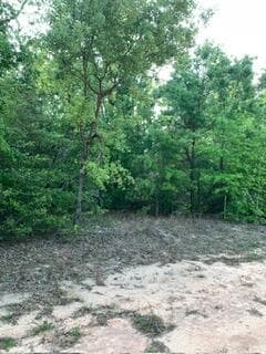 0 Gardenia Drive, Marianna, FL 32448 — photo 5 of 14