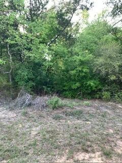 0 Gardenia Drive, Marianna, FL 32448 — photo 11 of 14