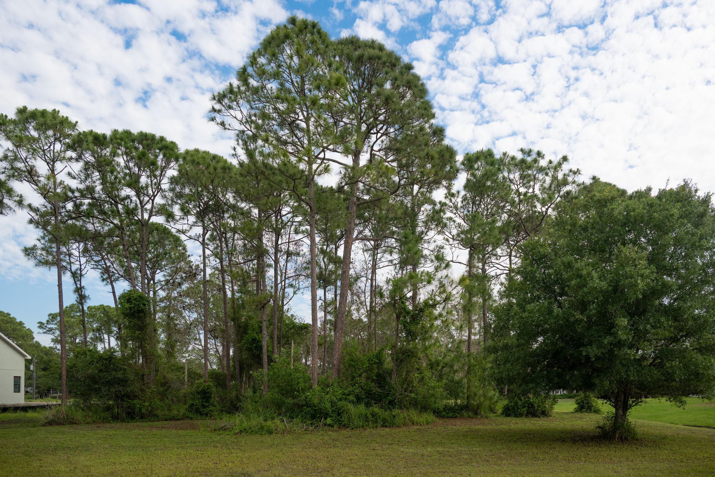 10638 Sugar Pine Drive, Fort Pierce, FL 34945 — photo 1 of 15