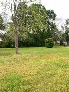 1026 Washington Avenue, Graceville, FL 32440 — photo 4 of 6