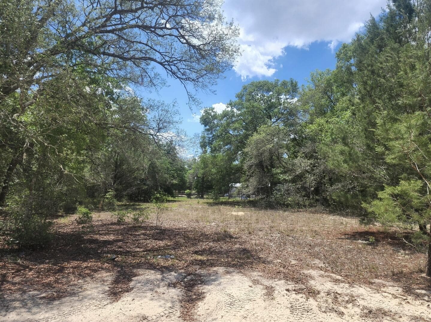 3207 Lich Street, Port Charlotte, FL 33980 — photo 2 of 4