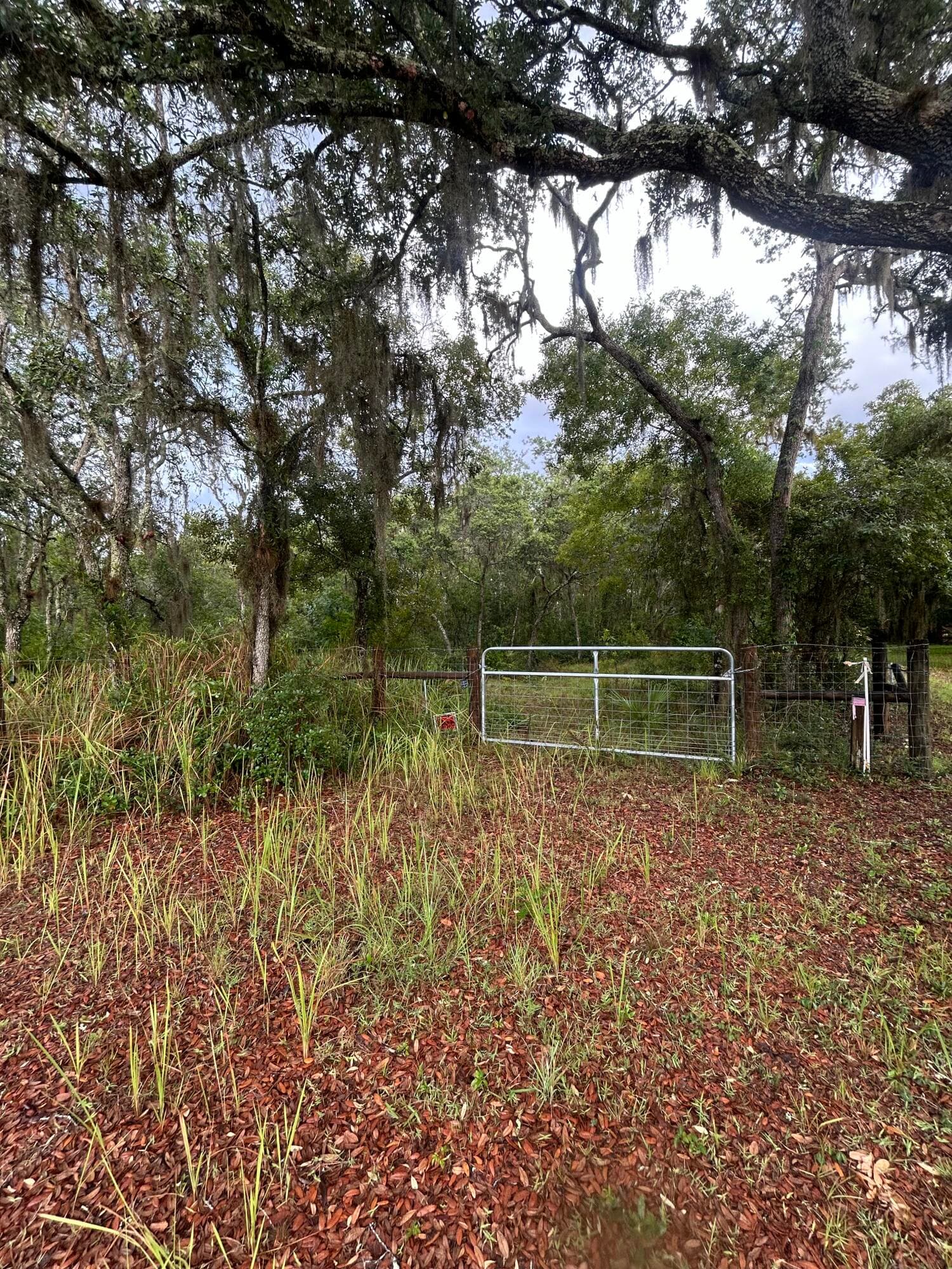 0 Scrub Jay Trail, Frostproof, FL — photo