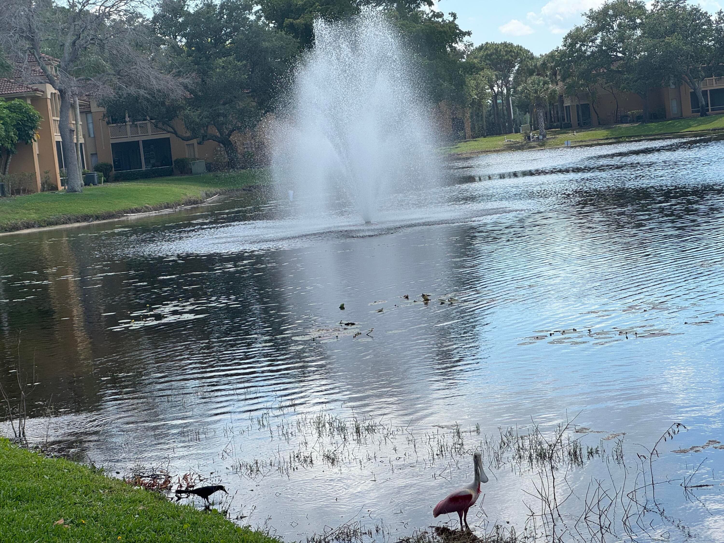 4807 Via Palm Lakes 1521, West Palm Beach, FL 33417 — photo 37 of 48
