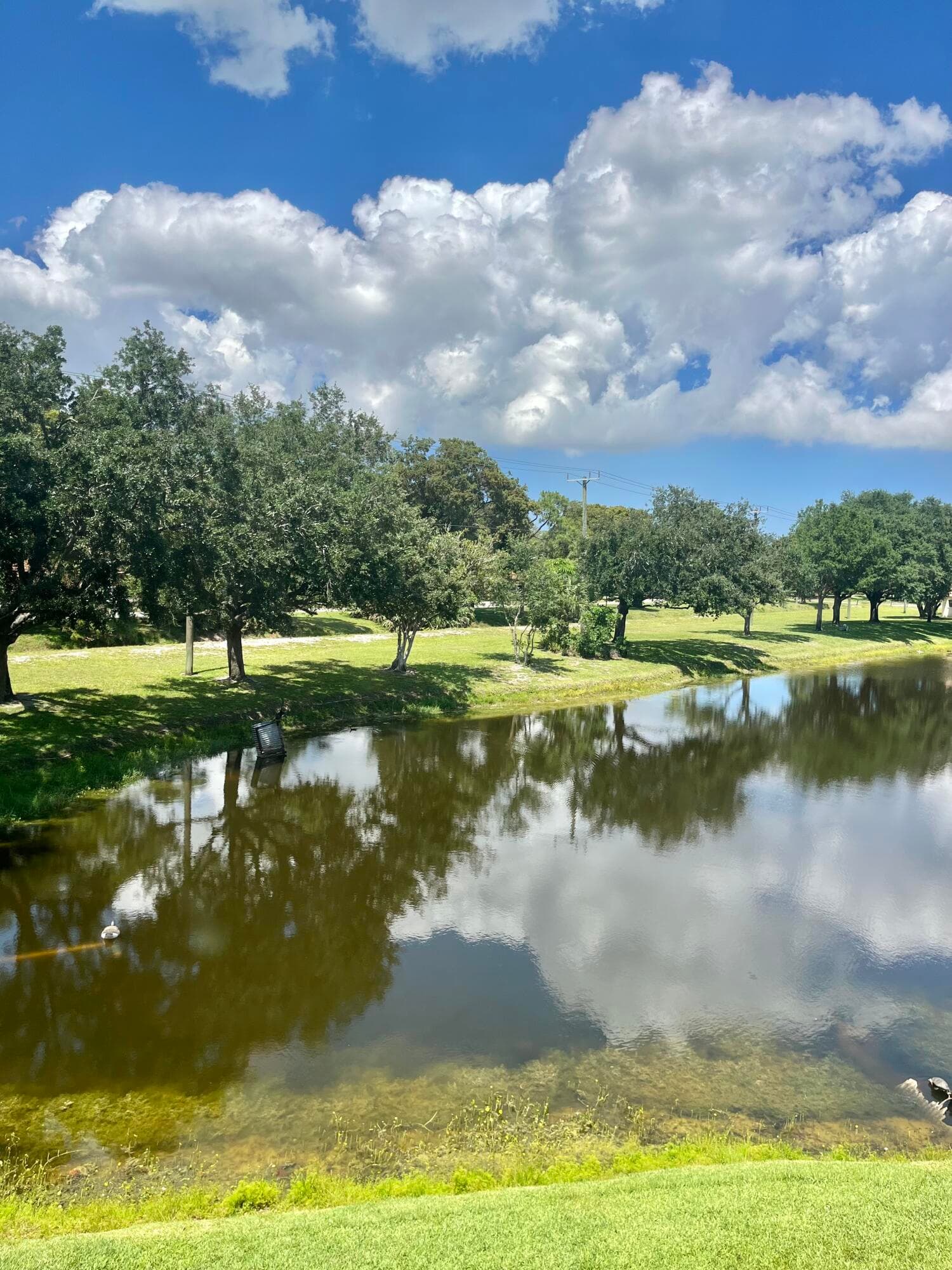 4243 Oak Terrace Drive 4243, Greenacres, FL 33463 — photo 16 of 20